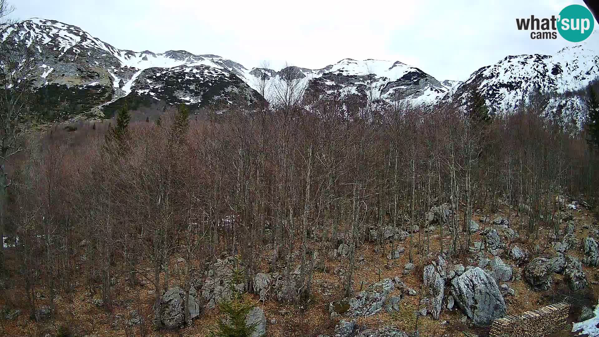 Livecam PLANINA RAZOR (1315) | vue sur Vogel et Globoko