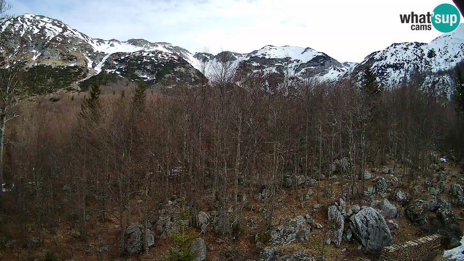PLANINA RAZOR webcam (1315) | view to Vogel and Globoko