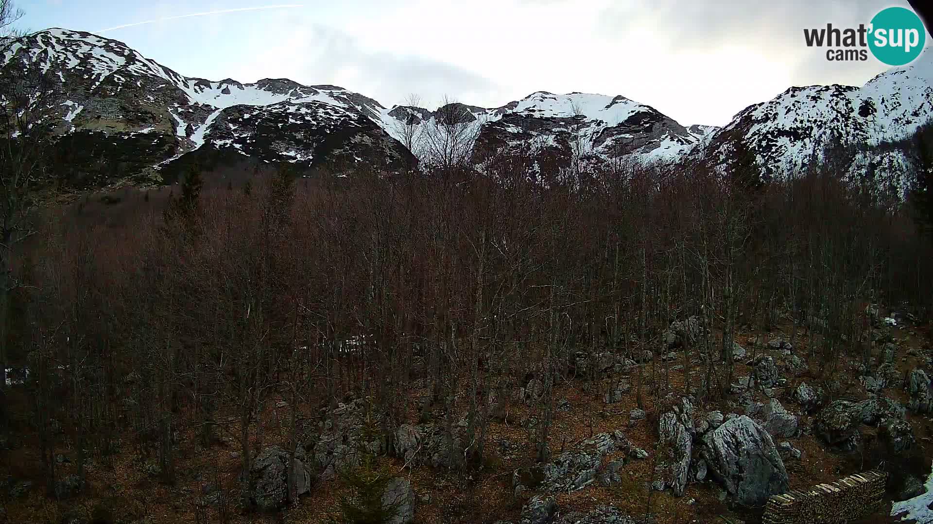Webcam PLANINA RAZOR (1315) | Blick auf Vogel und Globoko