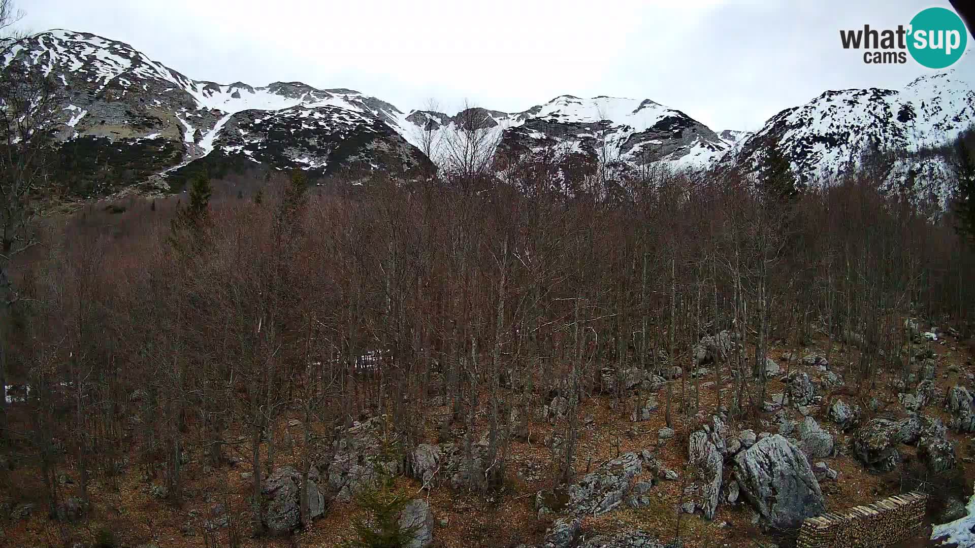 Webcam PLANINA RAZOR (1315) | Blick auf Vogel und Globoko