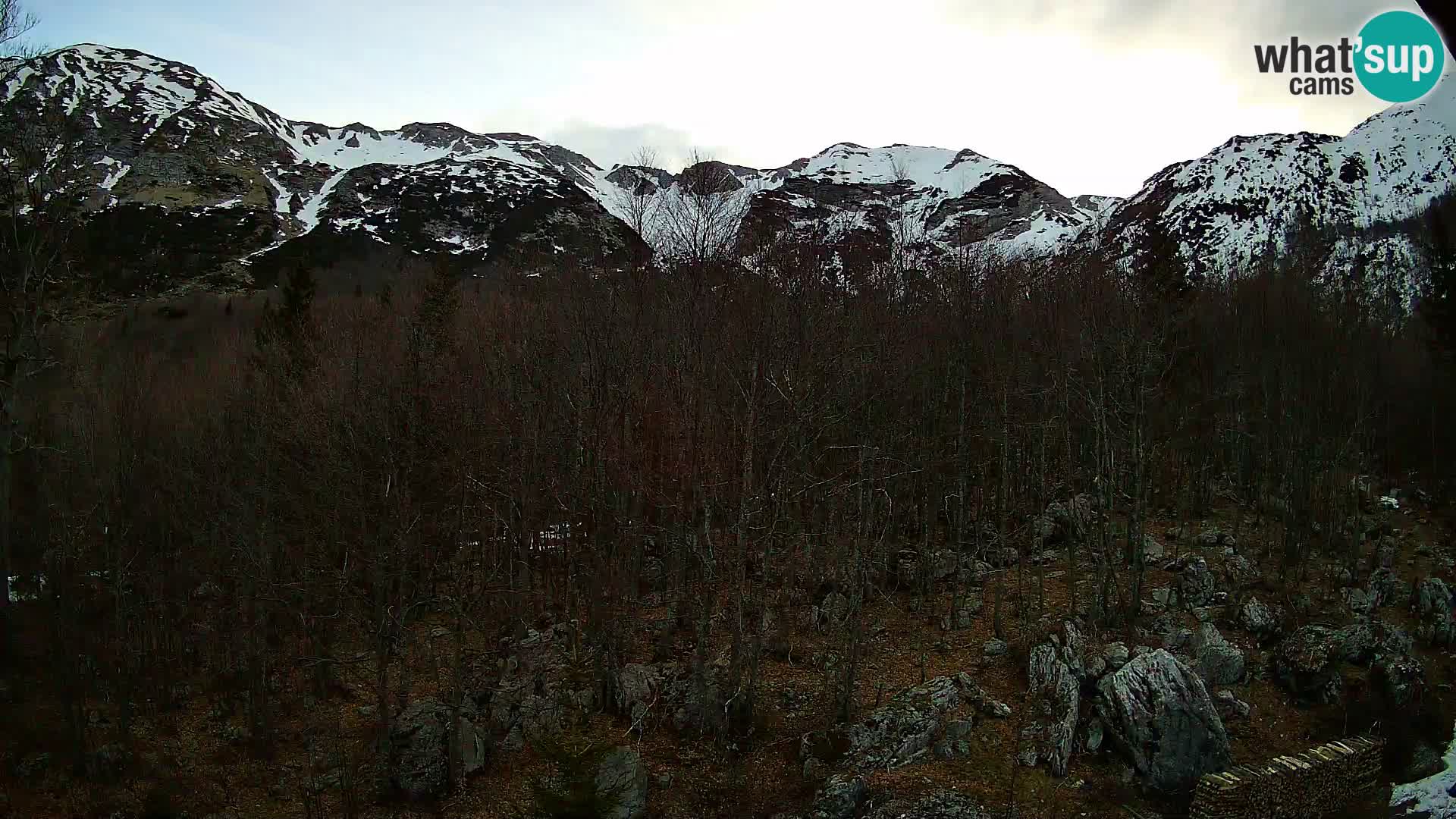 PLANINA RAZOR Live Cam (1315) | vista su Vogel e Globoko