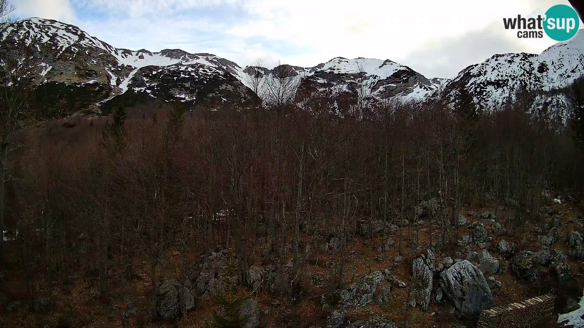 PLANINA RAZOR Live Cam (1315) | vista su Vogel e Globoko