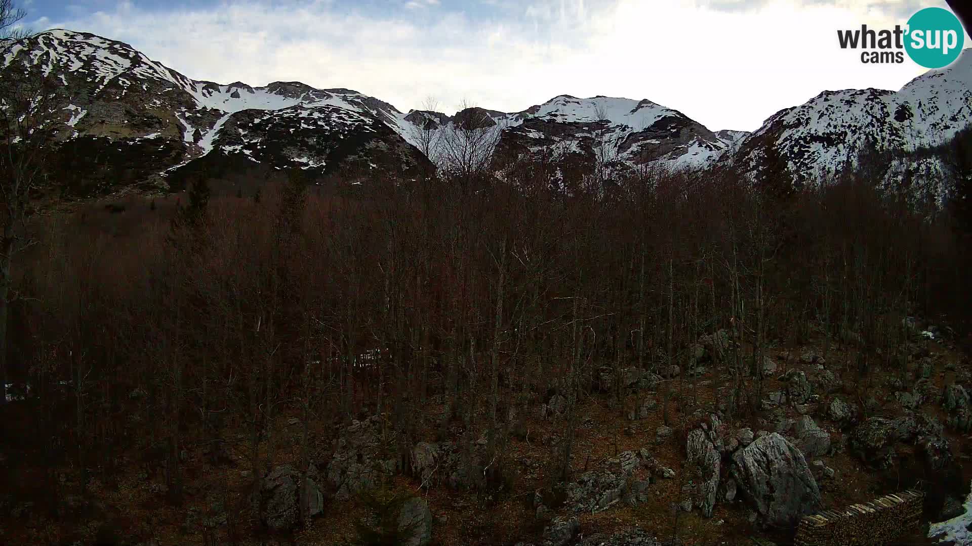 Webcam PLANINA RAZOR (1315) | Blick auf Vogel und Globoko
