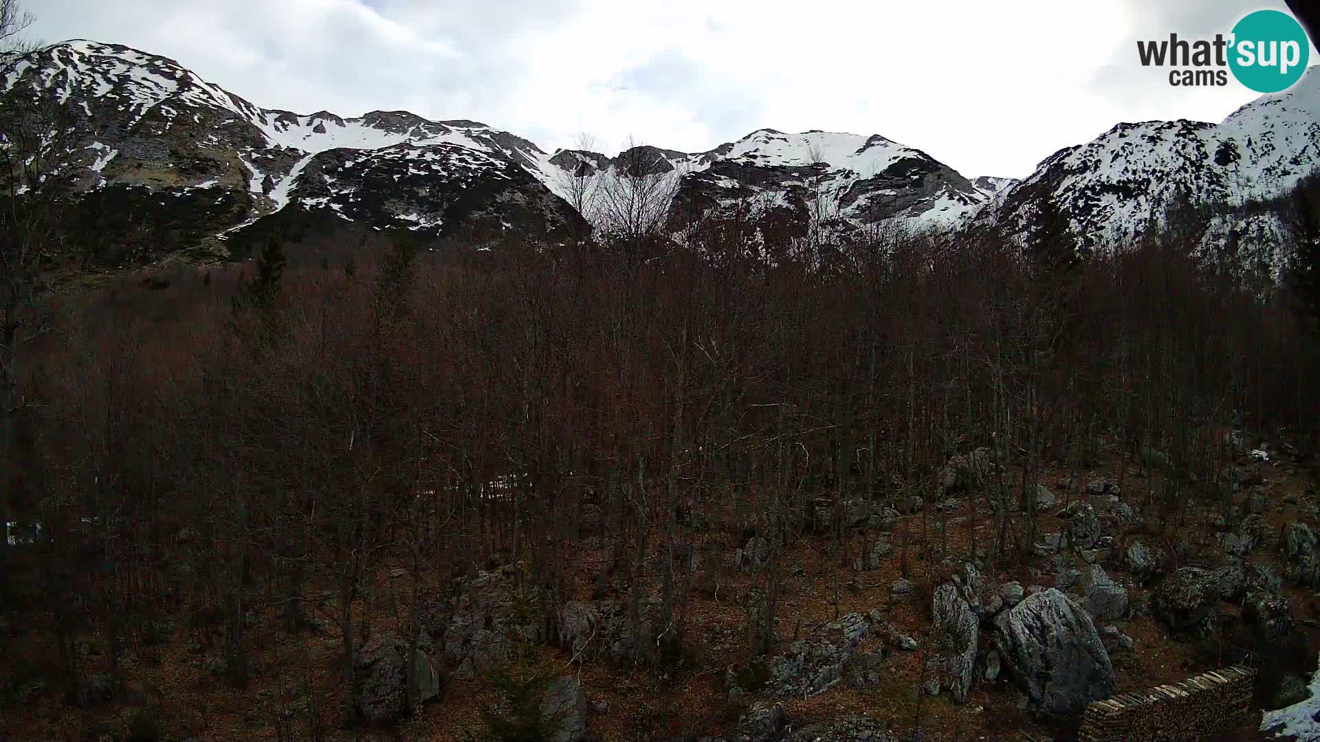 PLANINA RAZOR Live Cam (1315) | vista su Vogel e Globoko