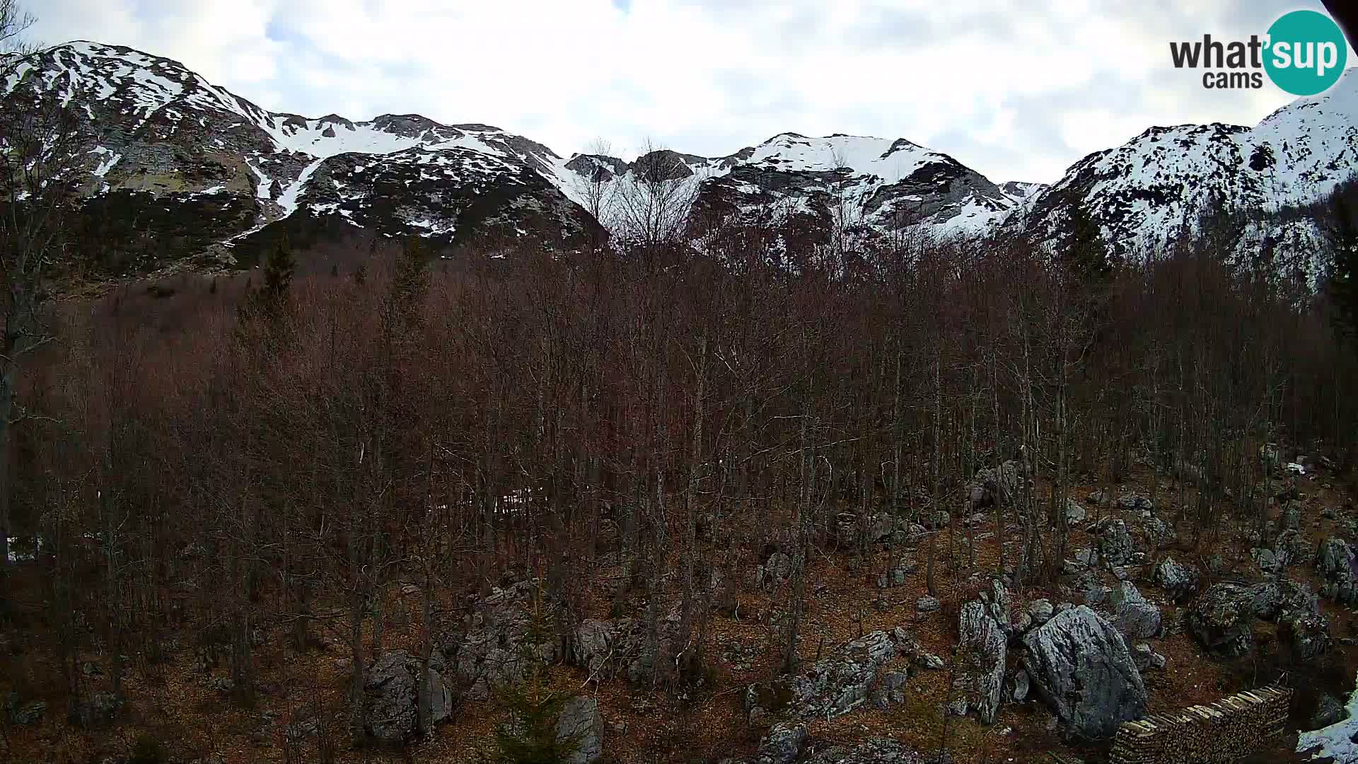 PLANINA RAZOR Live Cam (1315) | vista su Vogel e Globoko