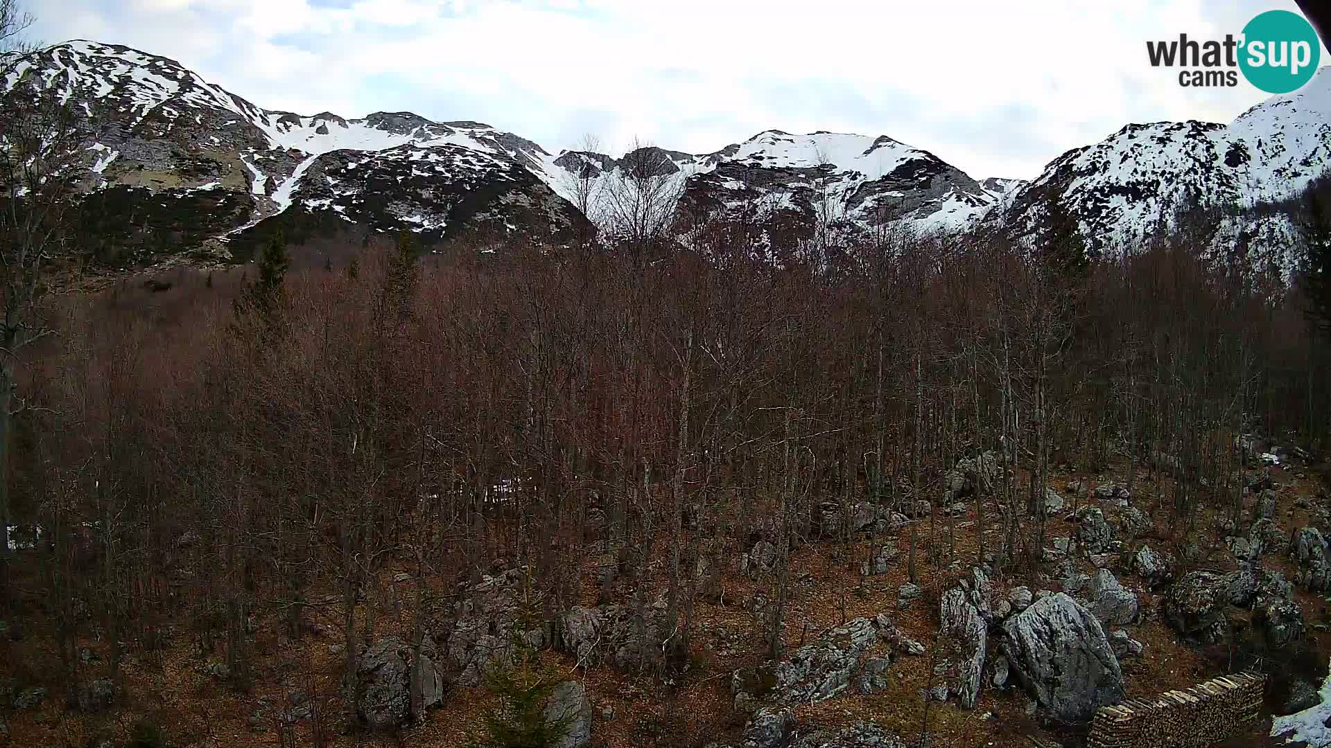 PLANINA RAZOR Live Cam (1315) | vista su Vogel e Globoko