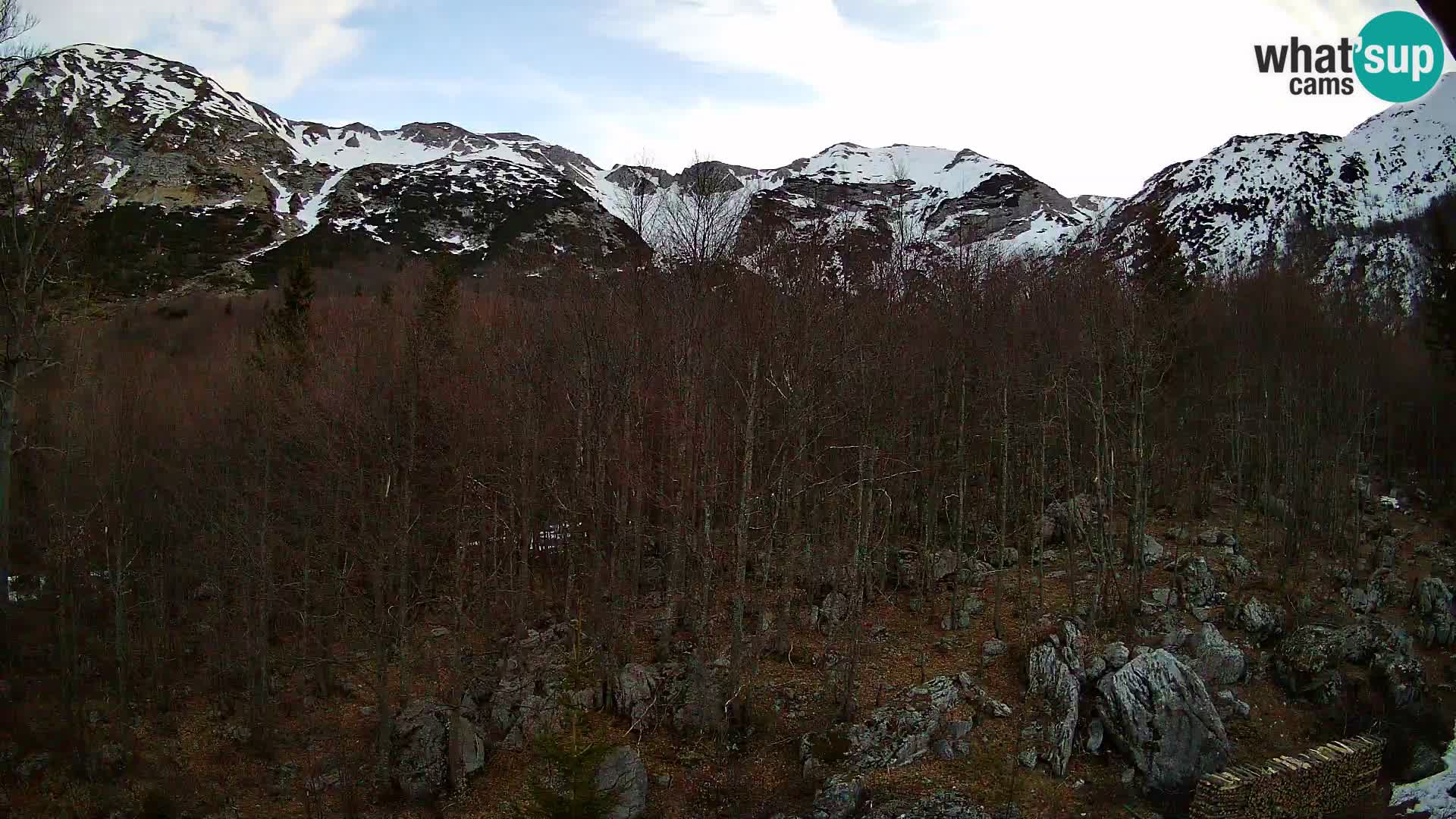 PLANINA RAZOR Live Cam (1315) | vista su Vogel e Globoko