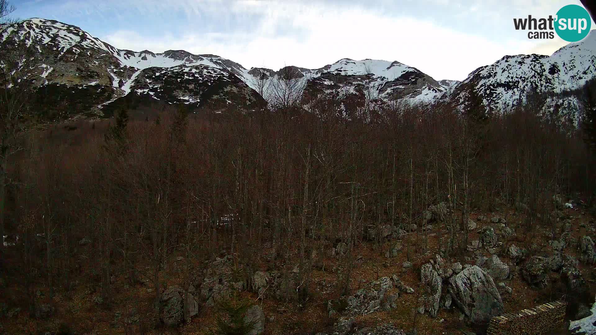 Livecam PLANINA RAZOR (1315) | vue sur Vogel et Globoko
