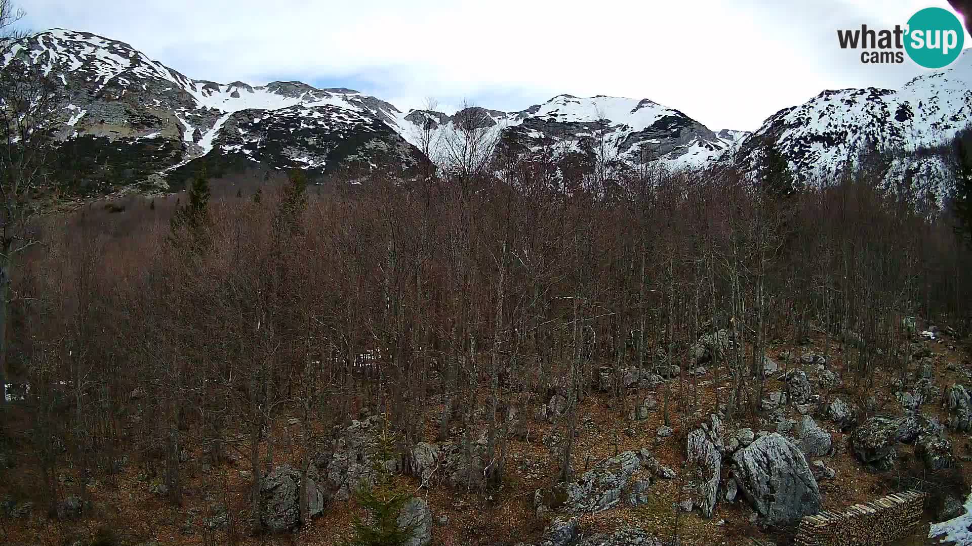 PLANINA RAZOR Live Cam (1315) | vista su Vogel e Globoko