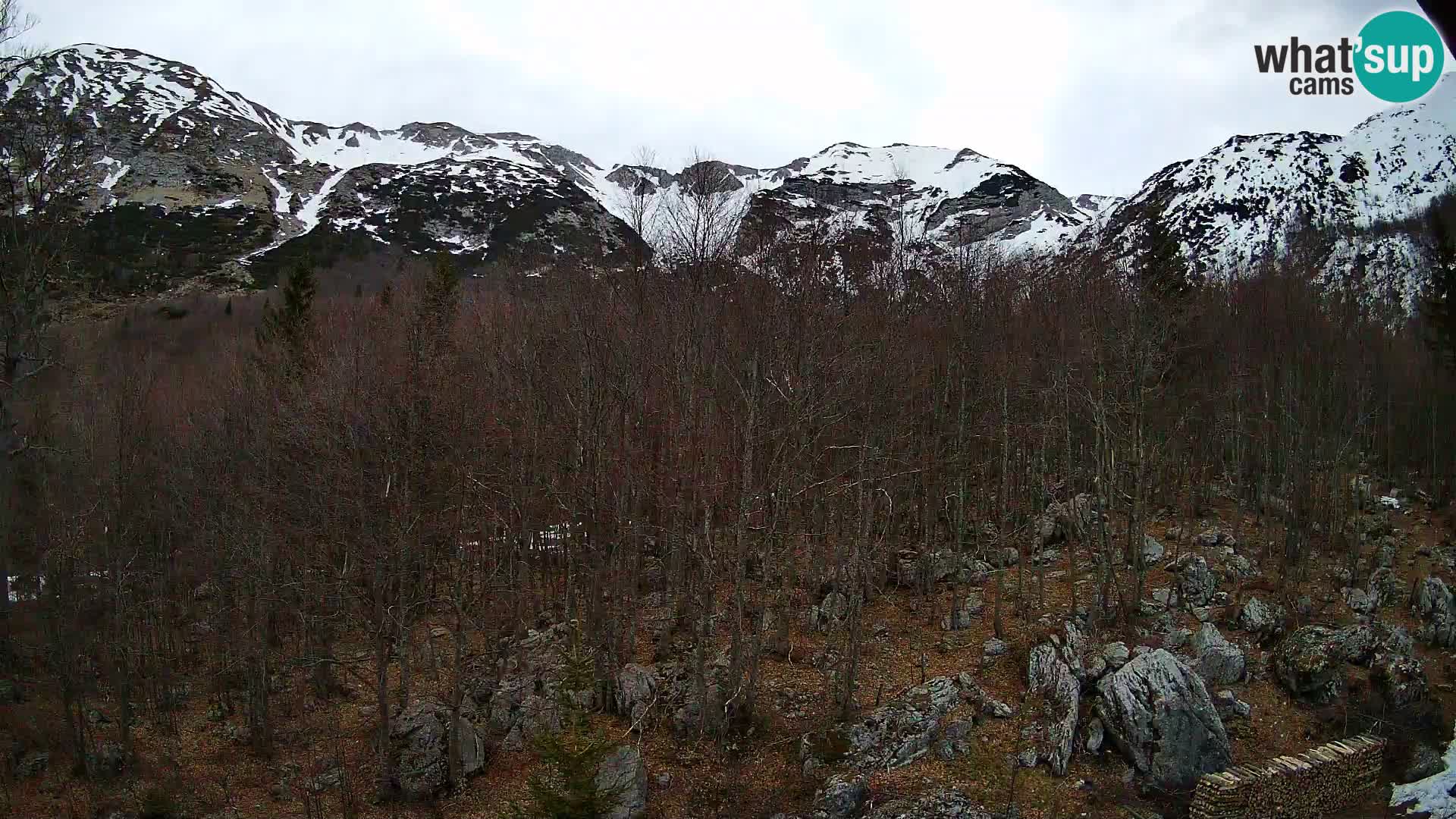 Livecam PLANINA RAZOR (1315) | vue sur Vogel et Globoko