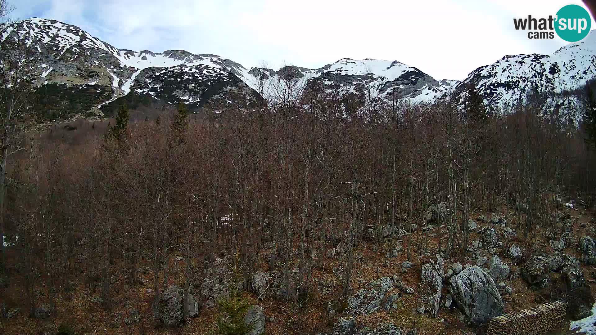 PLANINA RAZOR web kamera (1315) | pogled na Vogel i Globoko