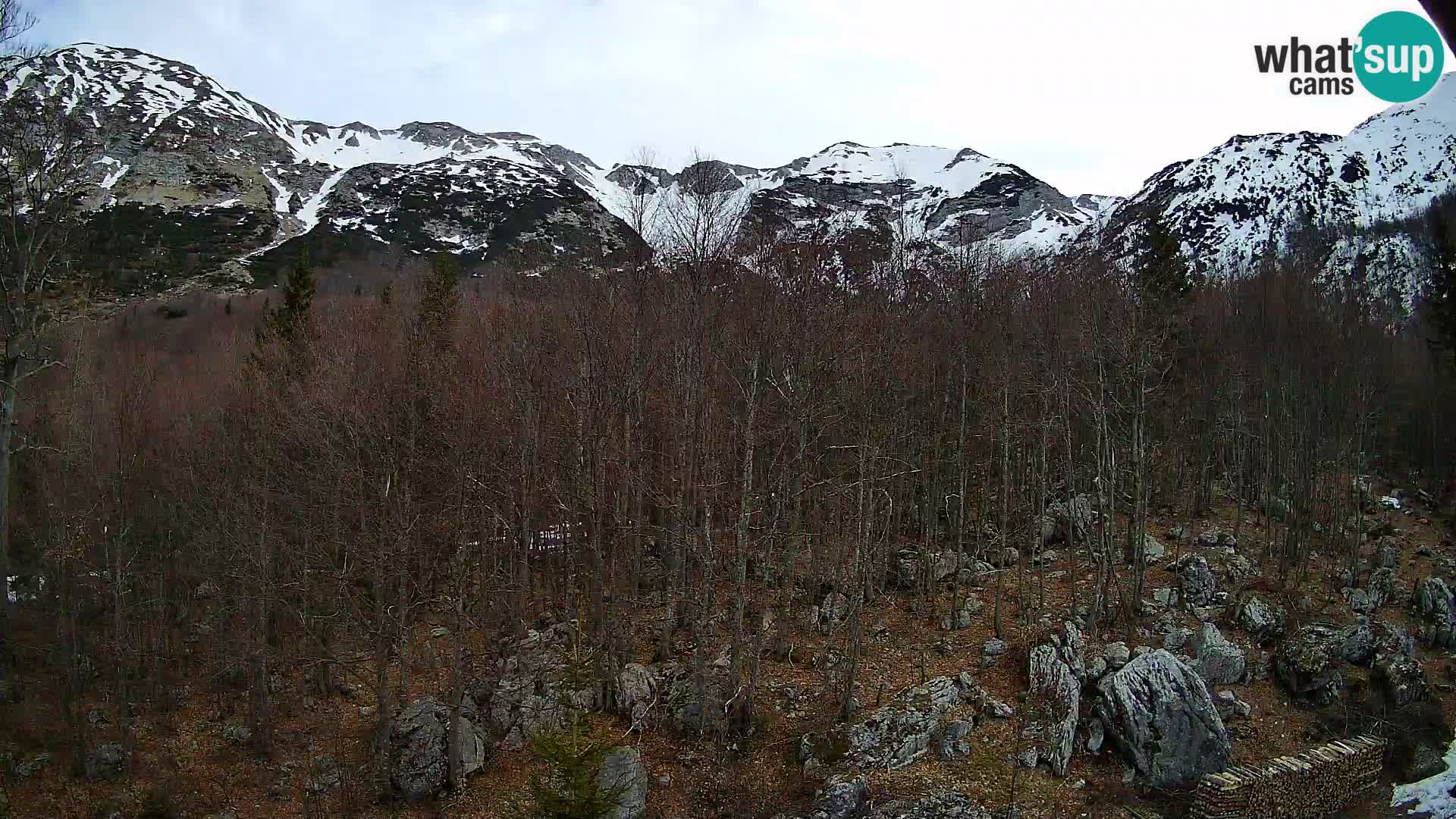 PLANINA RAZOR kamera (1315) | pogled na Vogel in Globoko