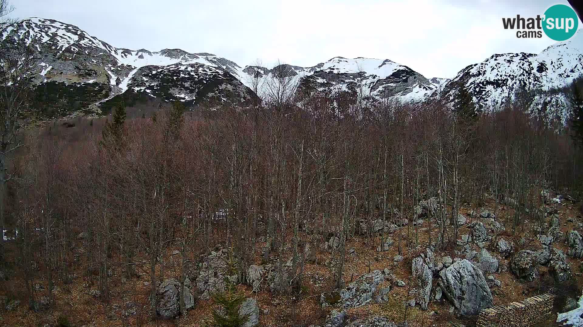 Cámara web PLANINA RAZOR (1315) | vista a Vogel y Globoko