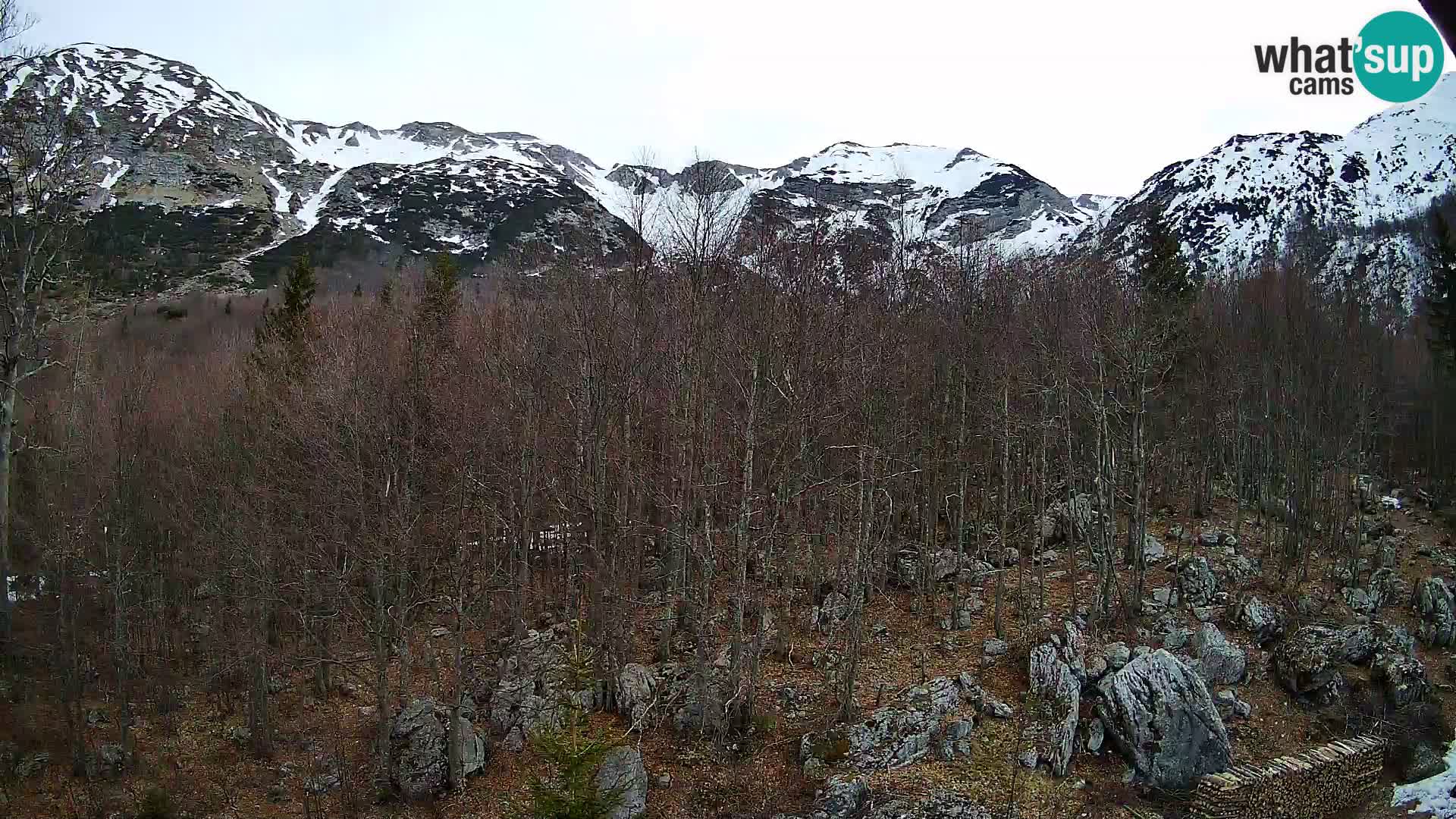 Livecam PLANINA RAZOR (1315) | vue sur Vogel et Globoko