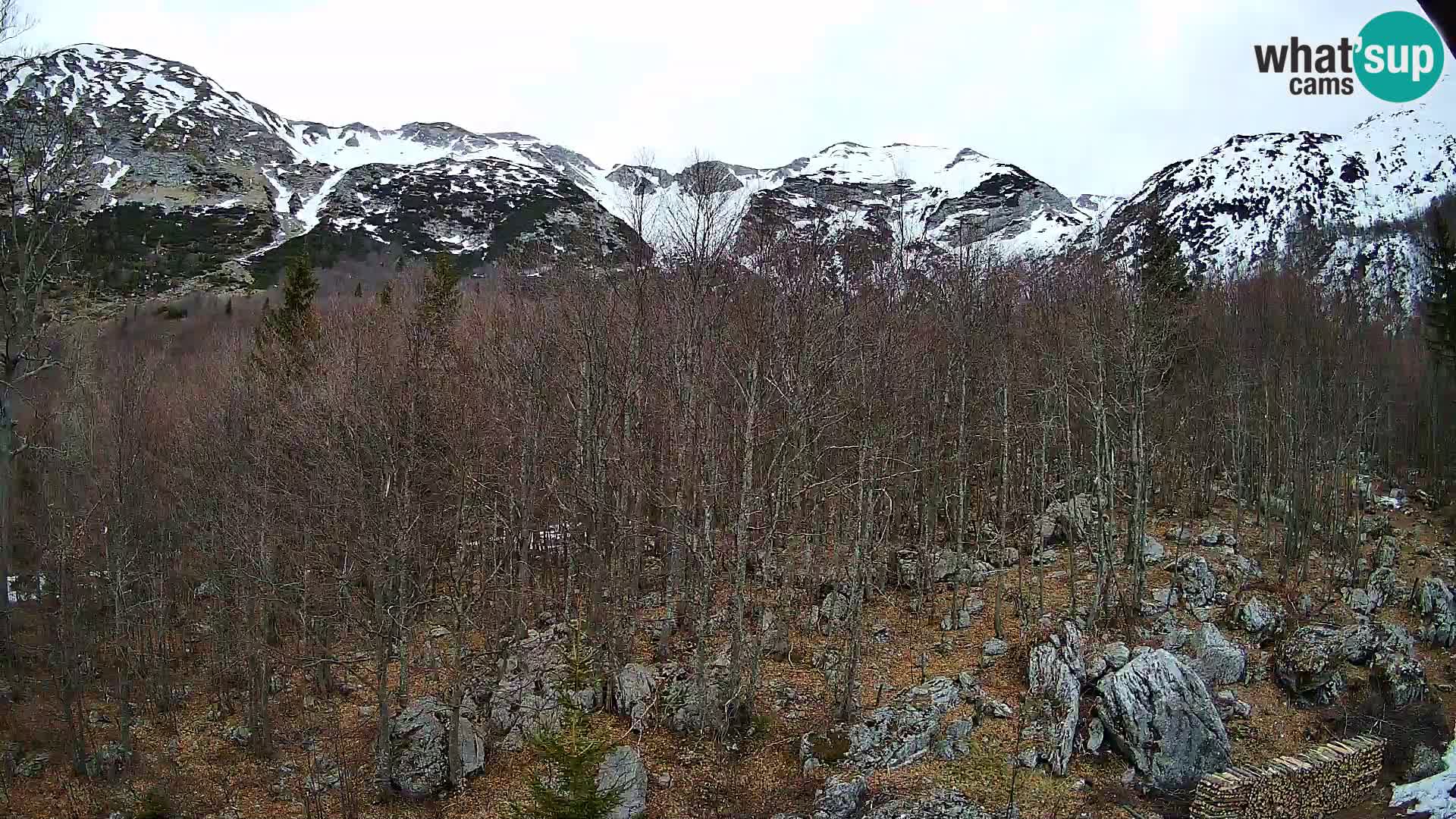 PLANINA RAZOR web kamera (1315) | pogled na Vogel i Globoko