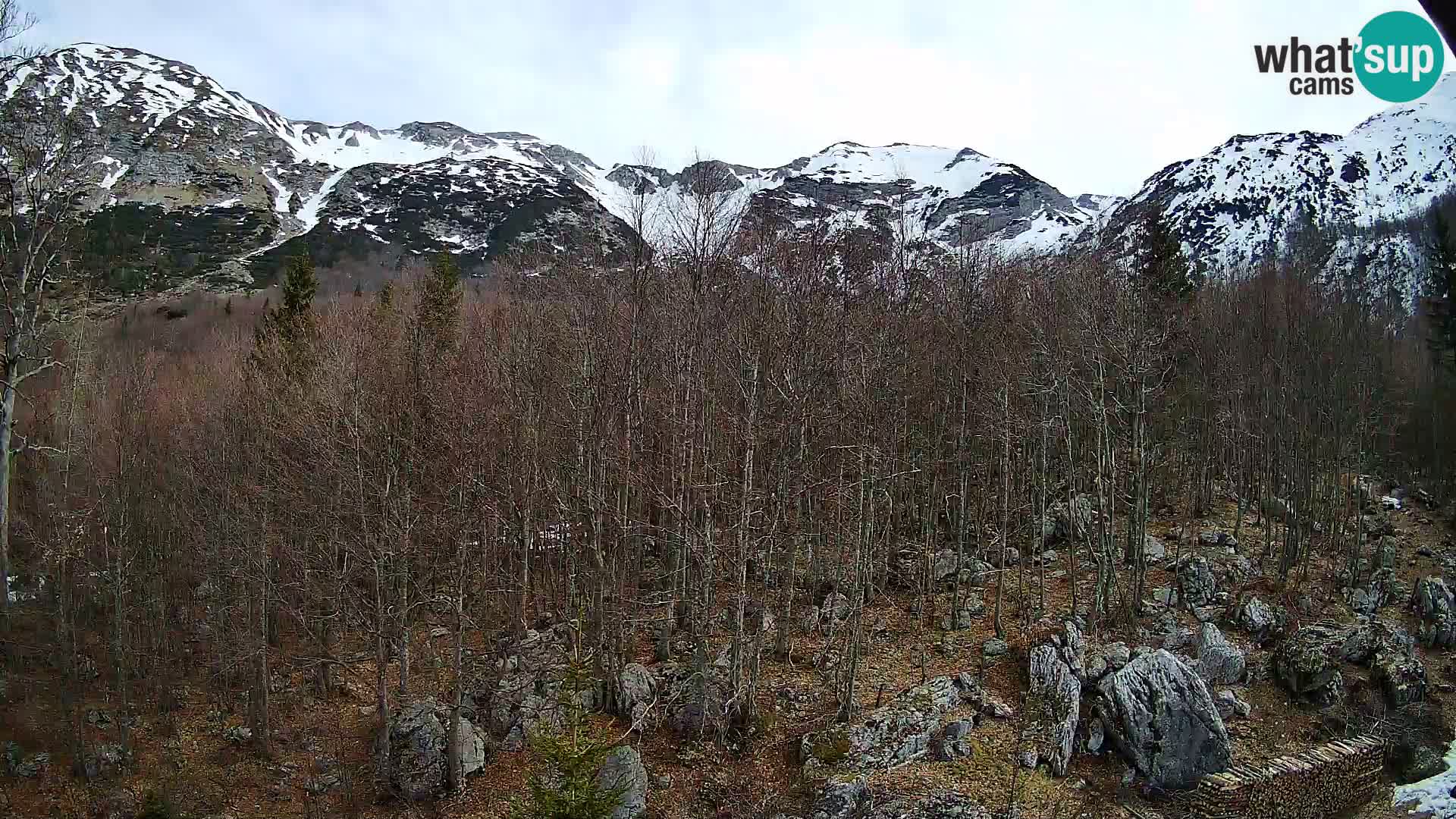 Webcam PLANINA RAZOR (1315) | Blick auf Vogel und Globoko