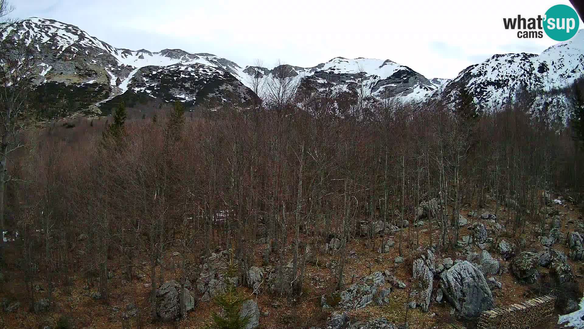 PLANINA RAZOR Live Cam (1315) | vista su Vogel e Globoko