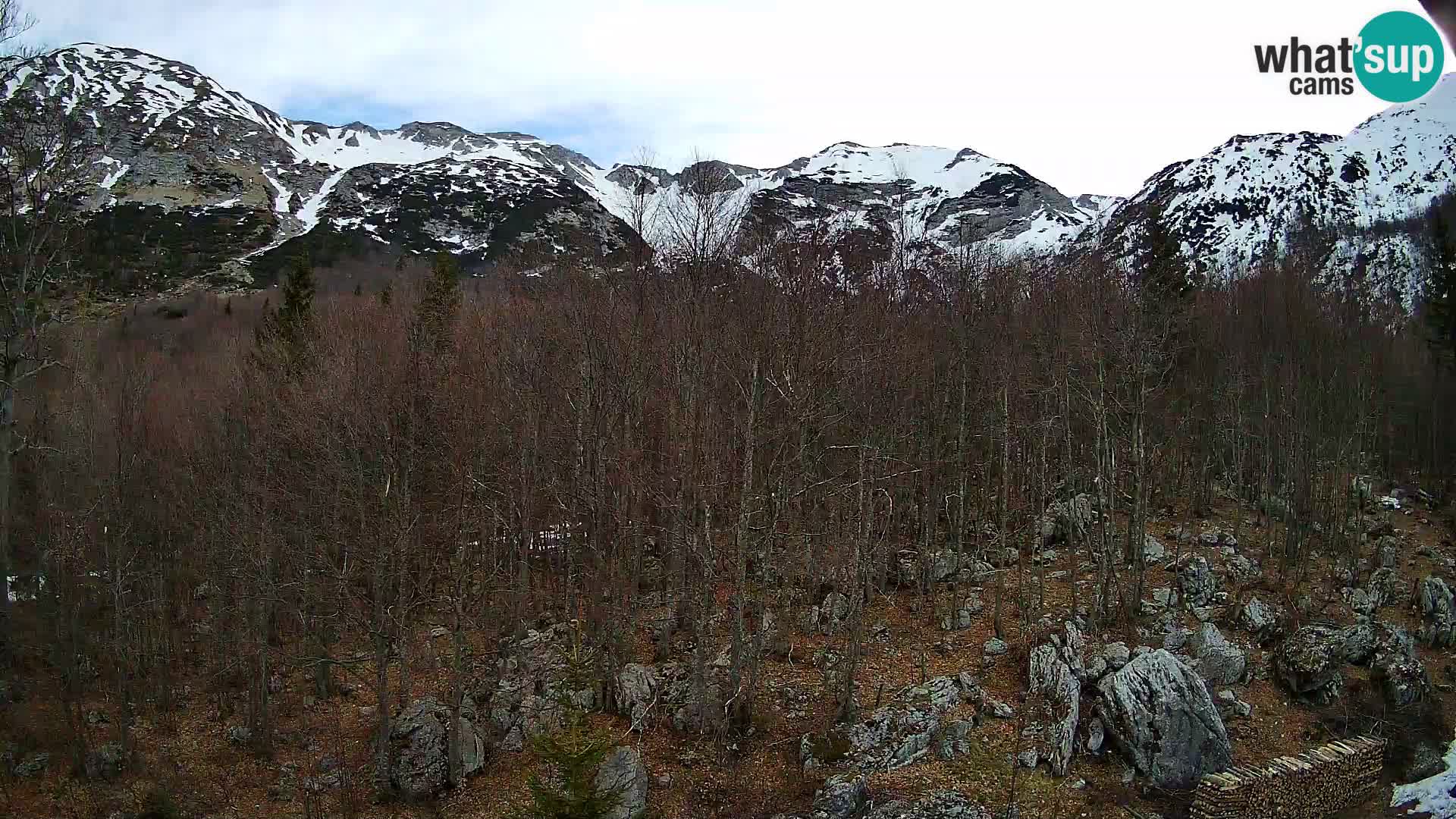 Livecam PLANINA RAZOR (1315) | vue sur Vogel et Globoko