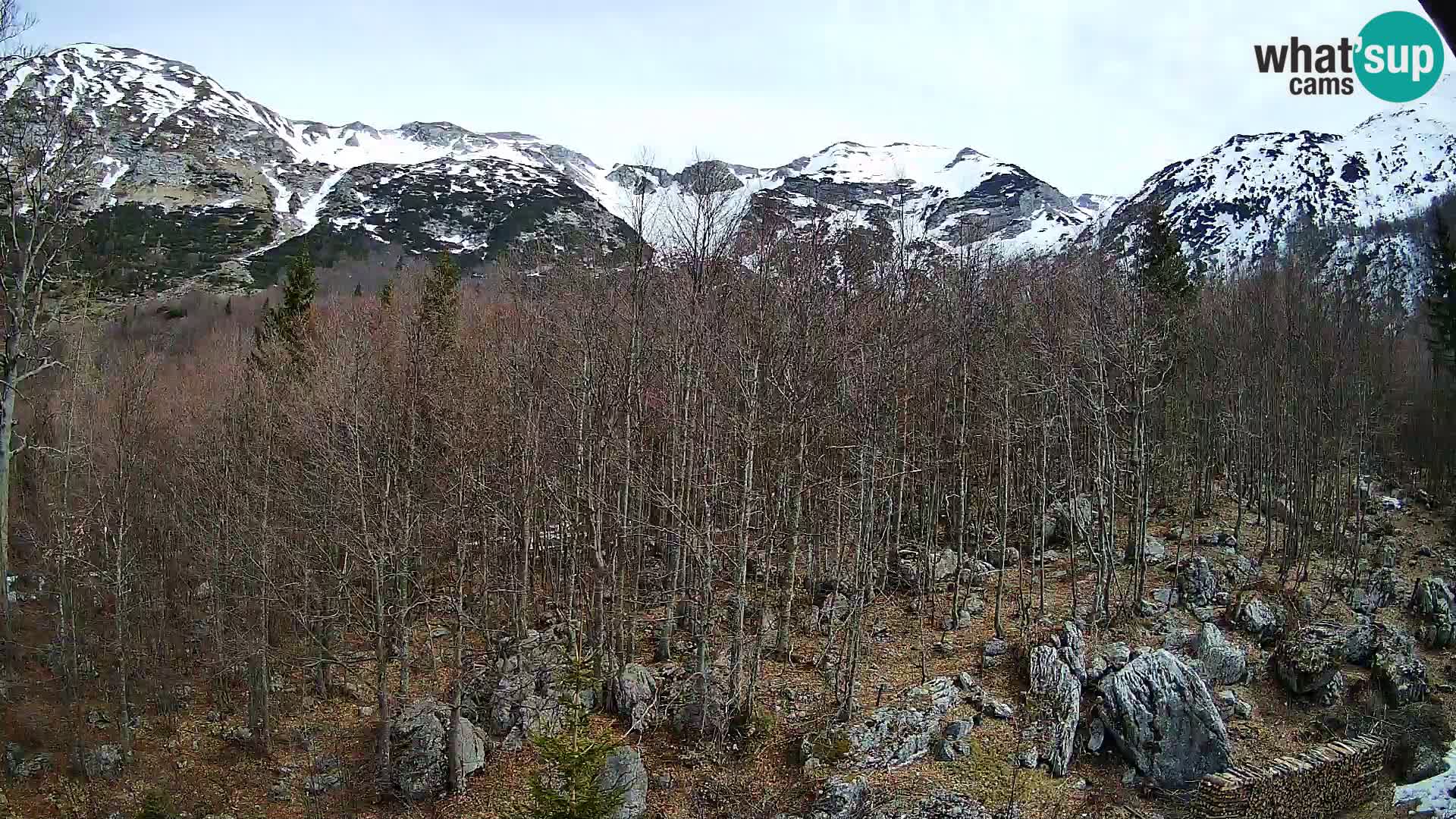 Webcam PLANINA RAZOR (1315) | Blick auf Vogel und Globoko