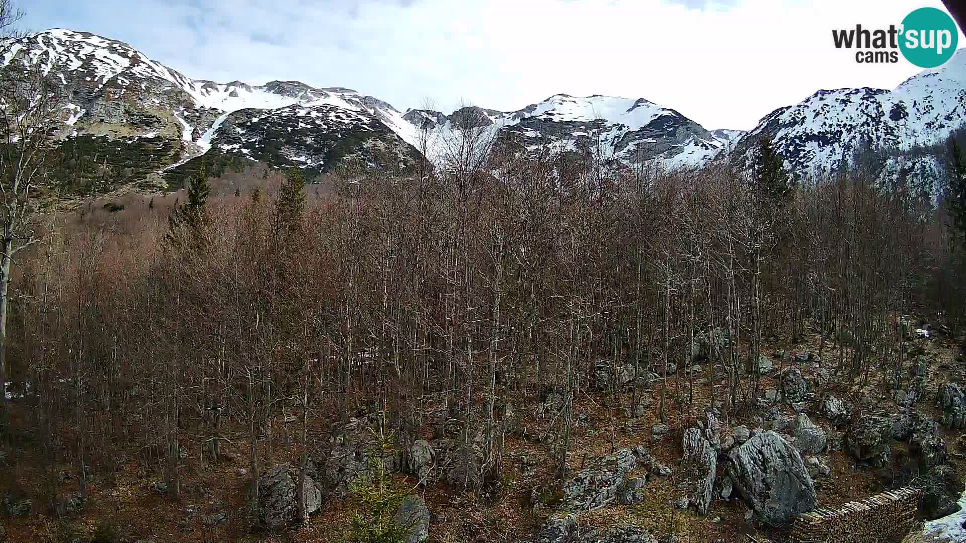 PLANINA RAZOR web kamera (1315) | pogled na Vogel i Globoko