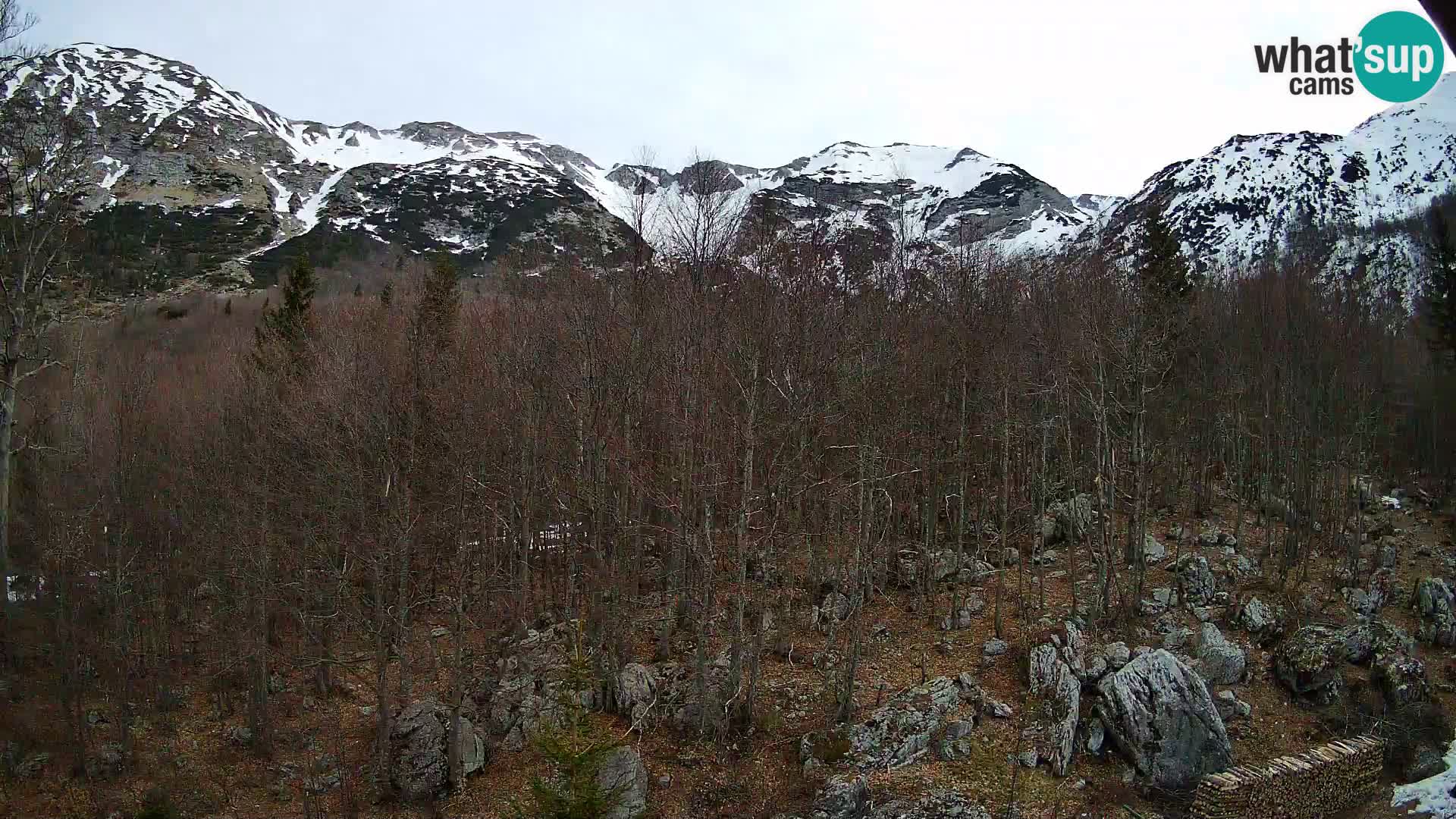 Cámara web PLANINA RAZOR (1315) | vista a Vogel y Globoko