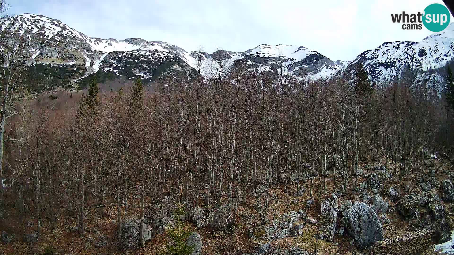 PLANINA RAZOR Live Cam (1315) | vista su Vogel e Globoko