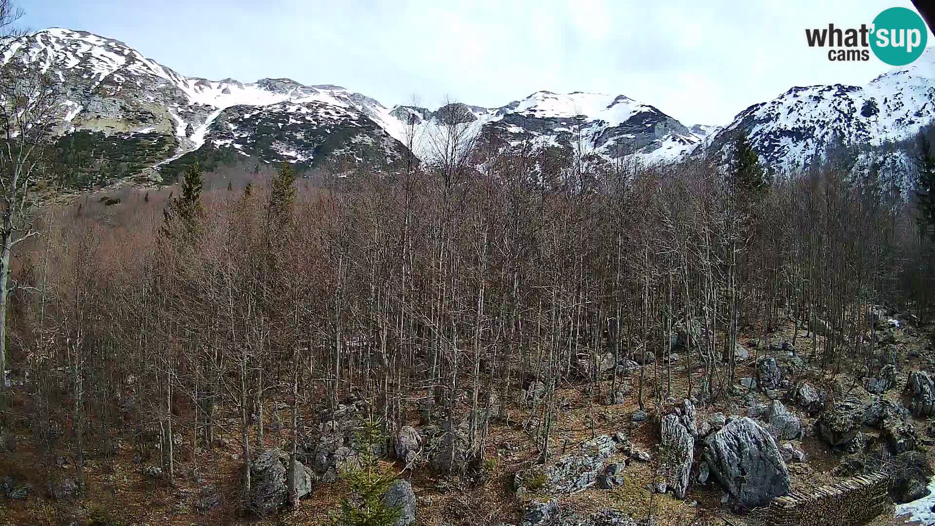 PLANINA RAZOR web kamera (1315) | pogled na Vogel i Globoko