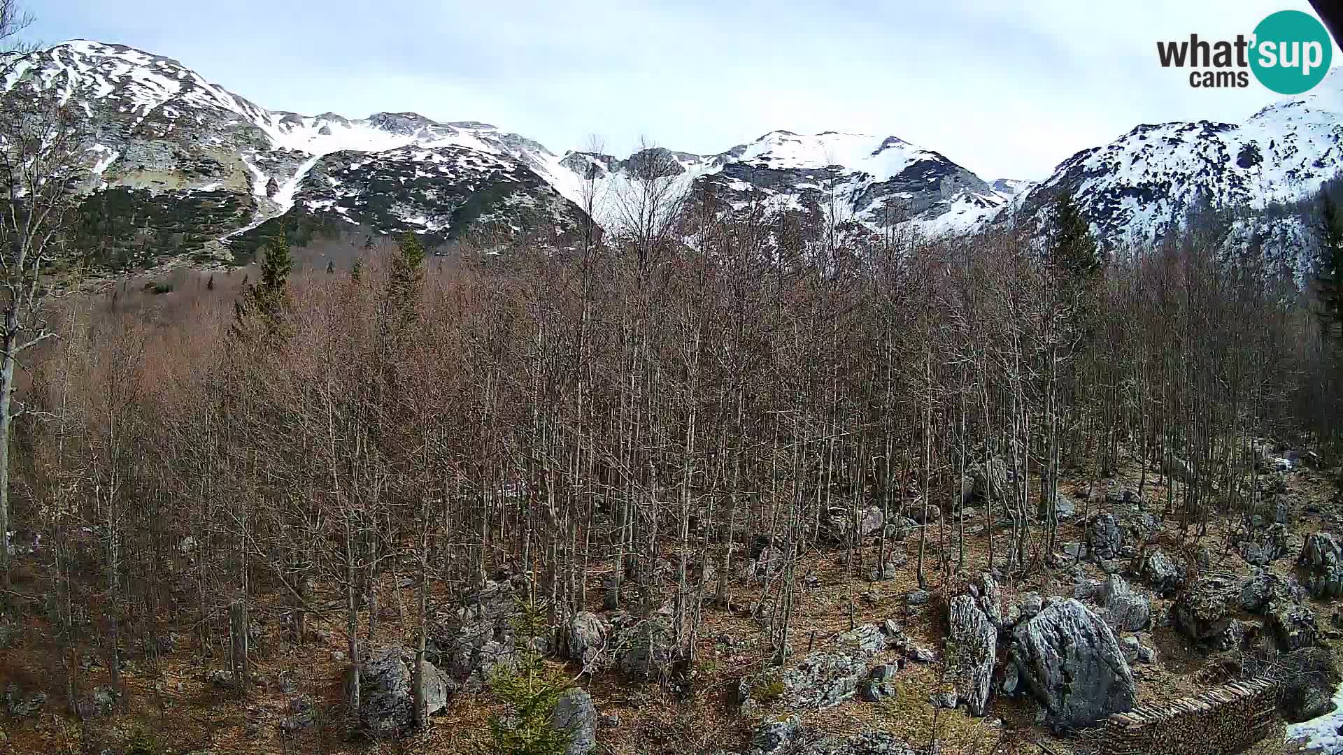 PLANINA RAZOR Live Cam (1315) | vista su Vogel e Globoko