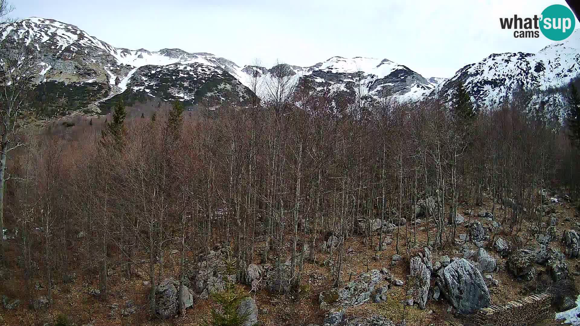 PLANINA RAZOR kamera (1315) | pogled na Vogel in Globoko