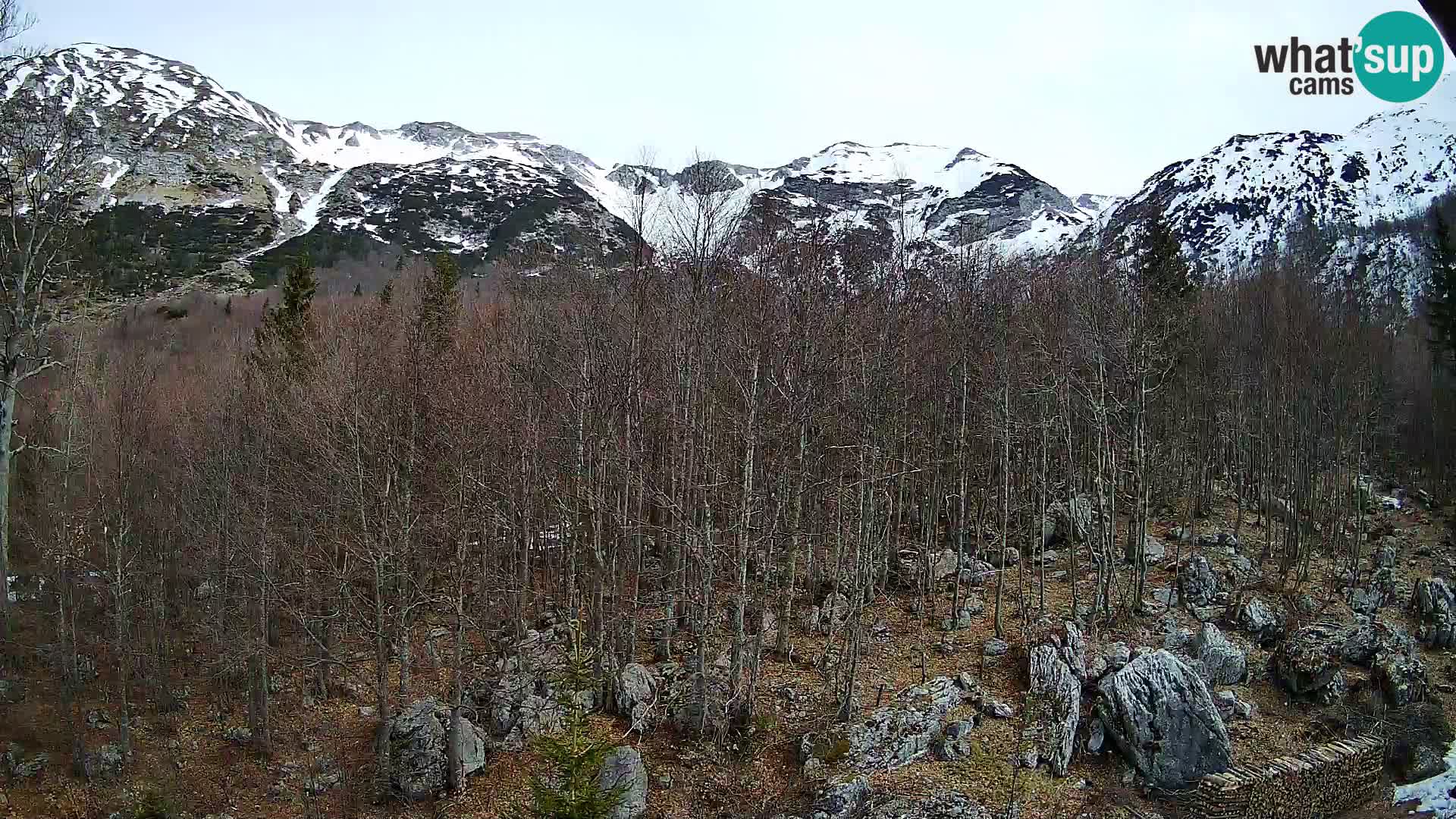 Livecam PLANINA RAZOR (1315) | vue sur Vogel et Globoko