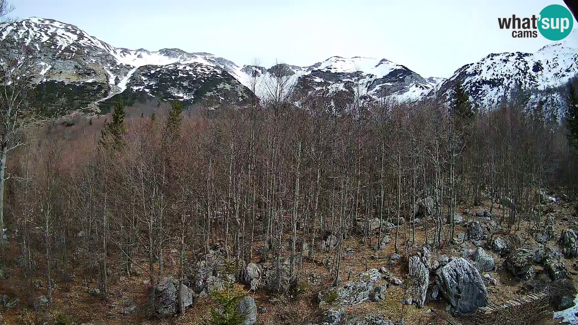 PLANINA RAZOR webcam (1315) | view to Vogel and Globoko