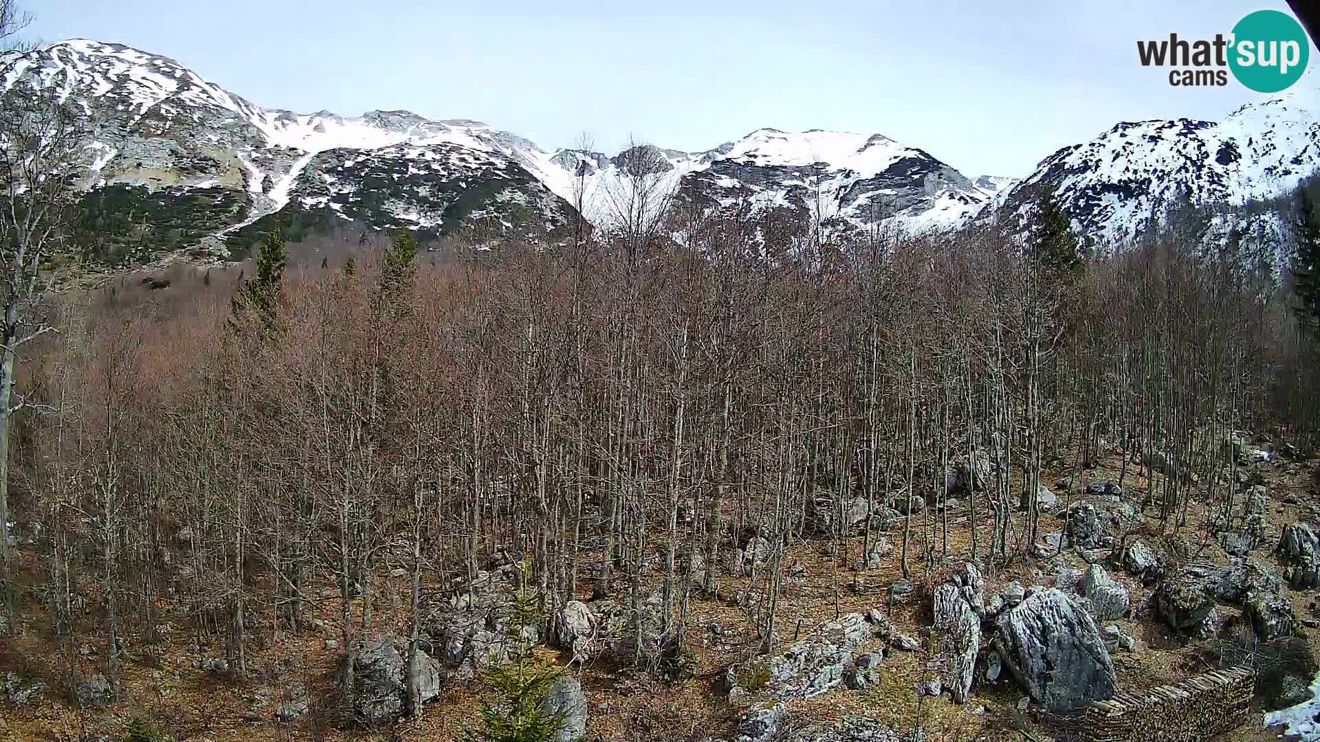 PLANINA RAZOR kamera (1315) | pogled na Vogel in Globoko