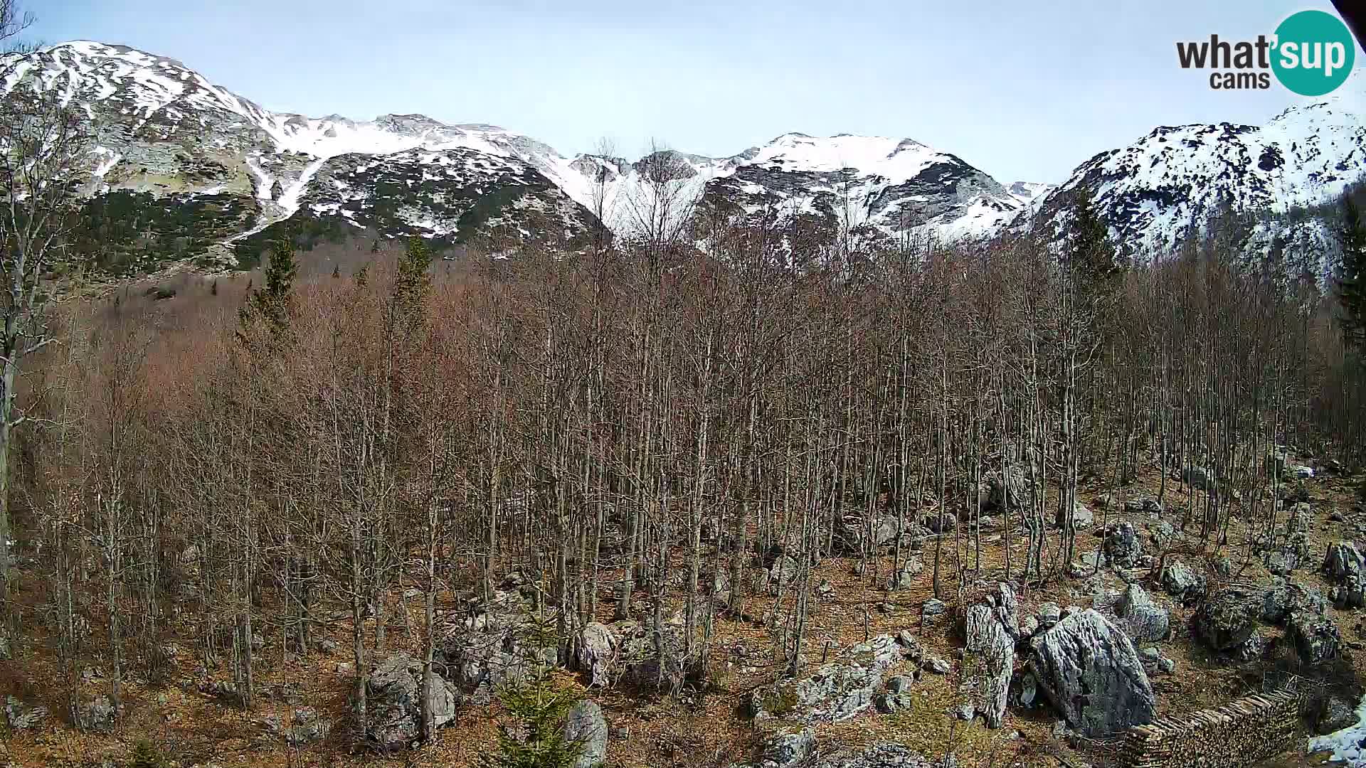 PLANINA RAZOR web kamera (1315) | pogled na Vogel i Globoko