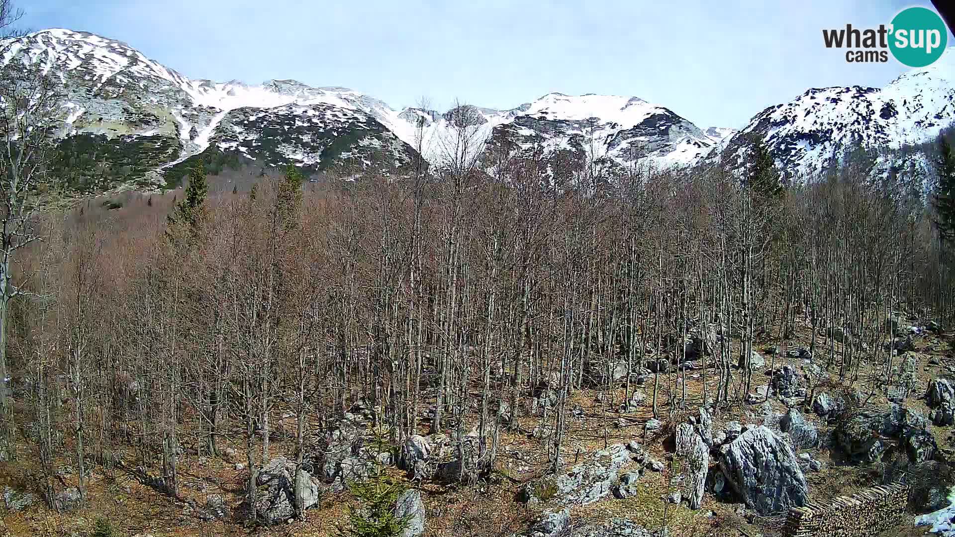 Livecam PLANINA RAZOR (1315) | vue sur Vogel et Globoko