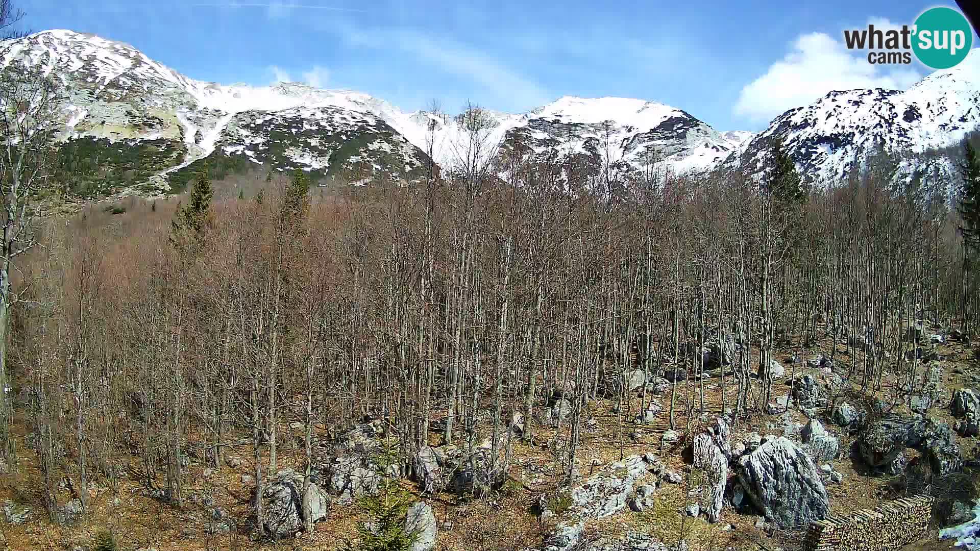 PLANINA RAZOR kamera (1315) | pogled na Vogel in Globoko