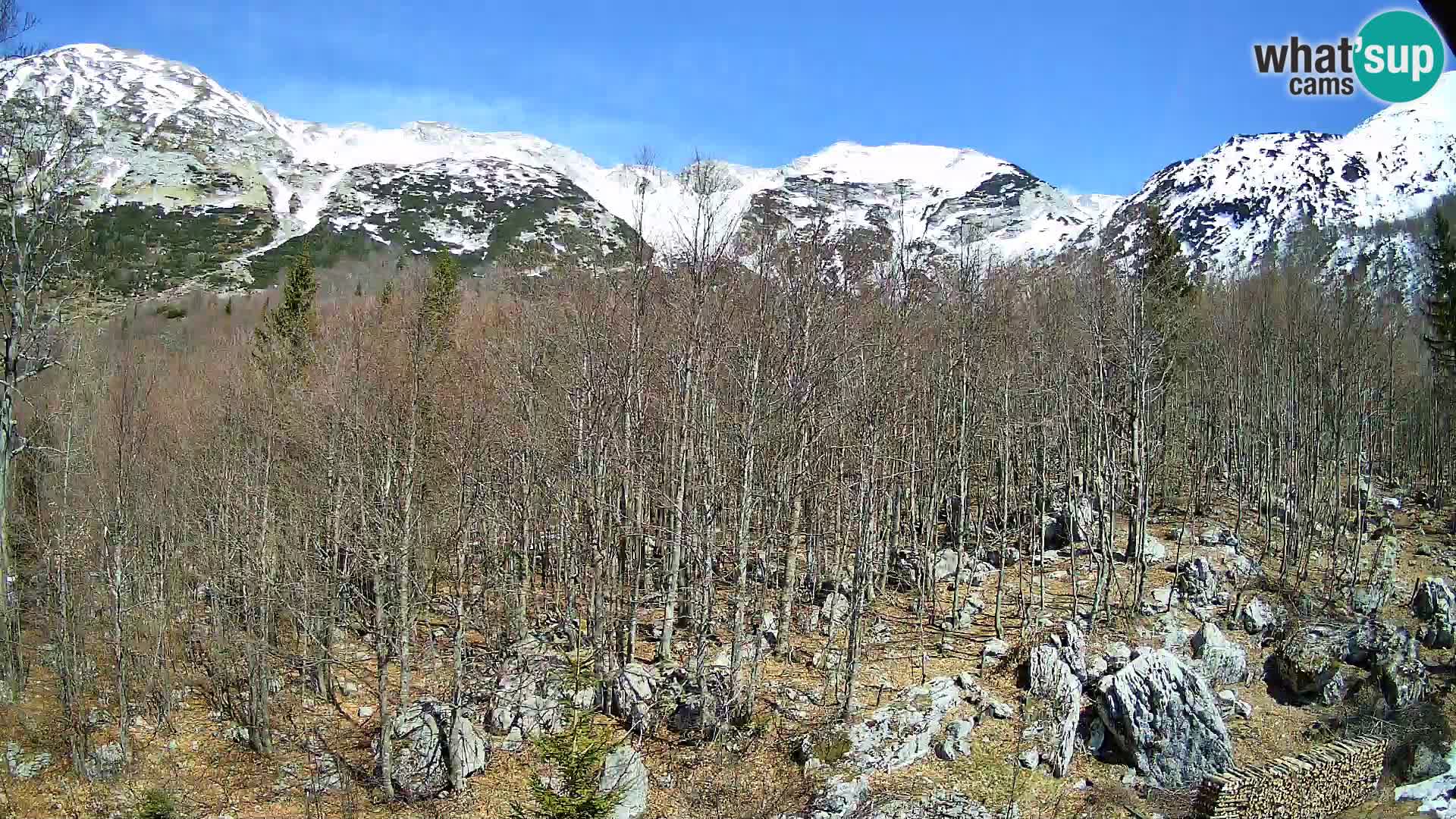 Webcam PLANINA RAZOR (1315) | Blick auf Vogel und Globoko