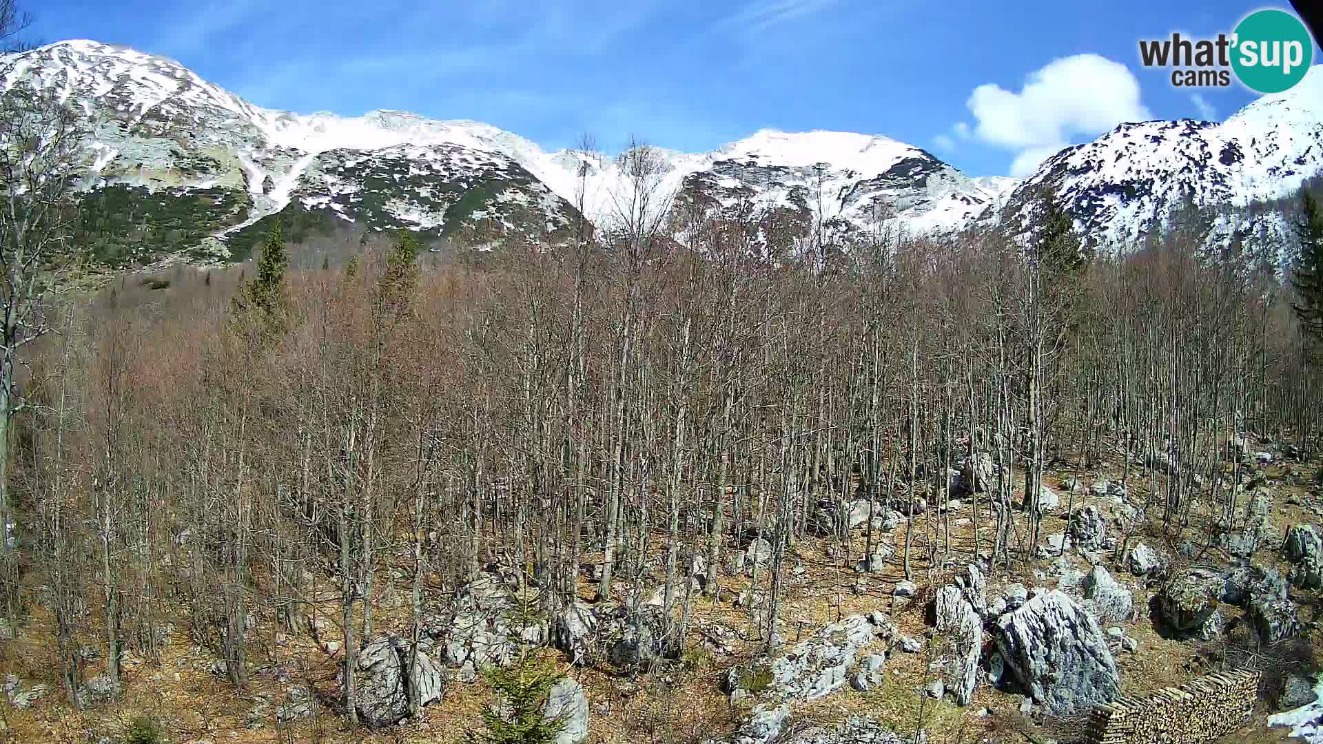 Webcam PLANINA RAZOR (1315) | Blick auf Vogel und Globoko