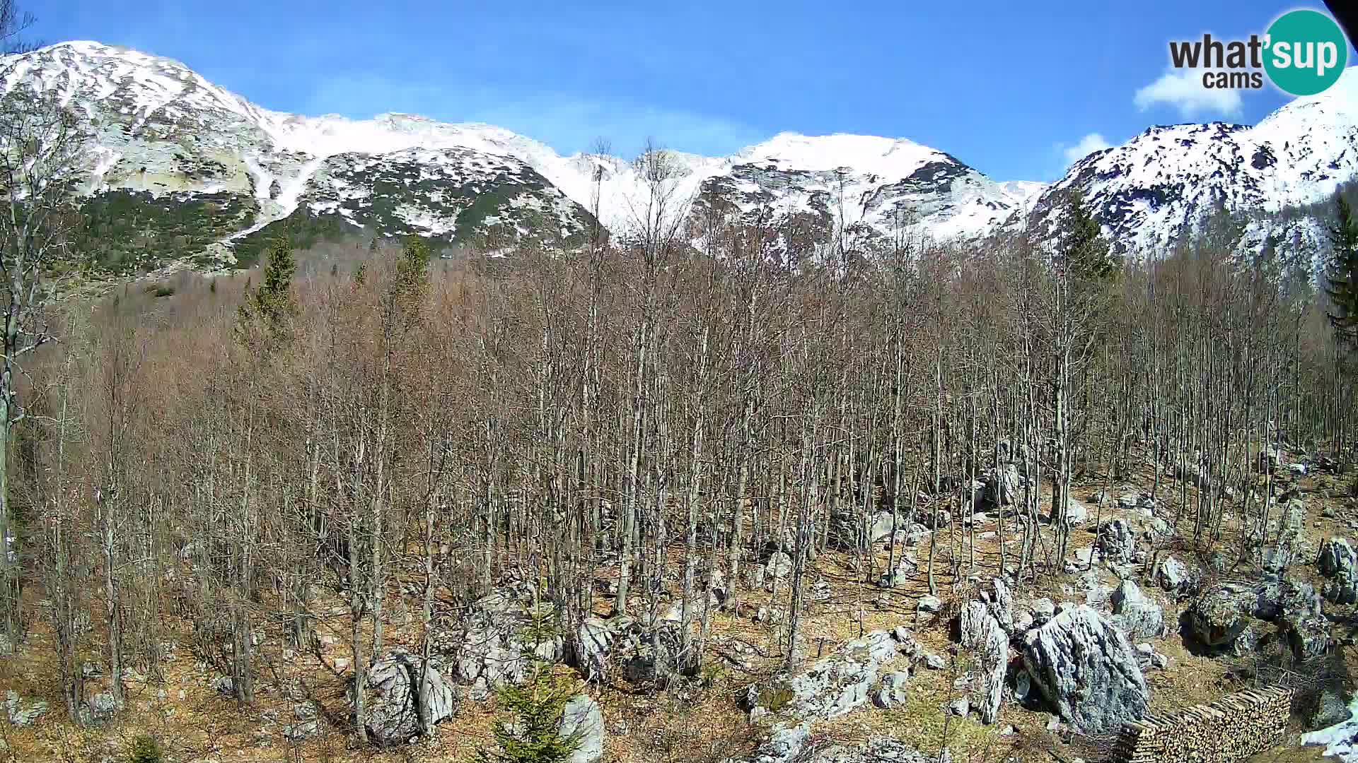 PLANINA RAZOR kamera (1315) | pogled na Vogel in Globoko