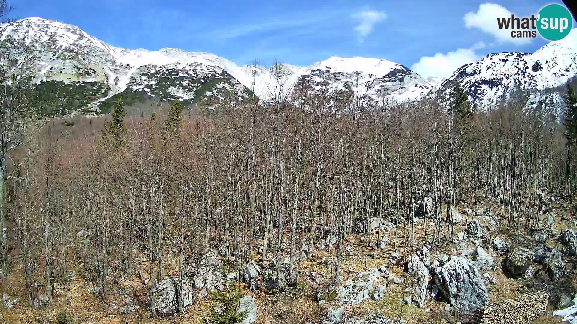 Webcam PLANINA RAZOR (1315) | Blick auf Vogel und Globoko