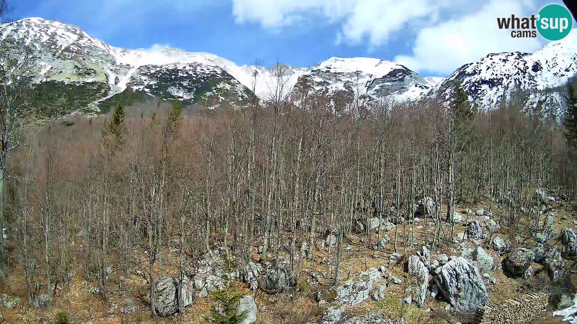 PLANINA RAZOR Live Cam (1315) | vista su Vogel e Globoko