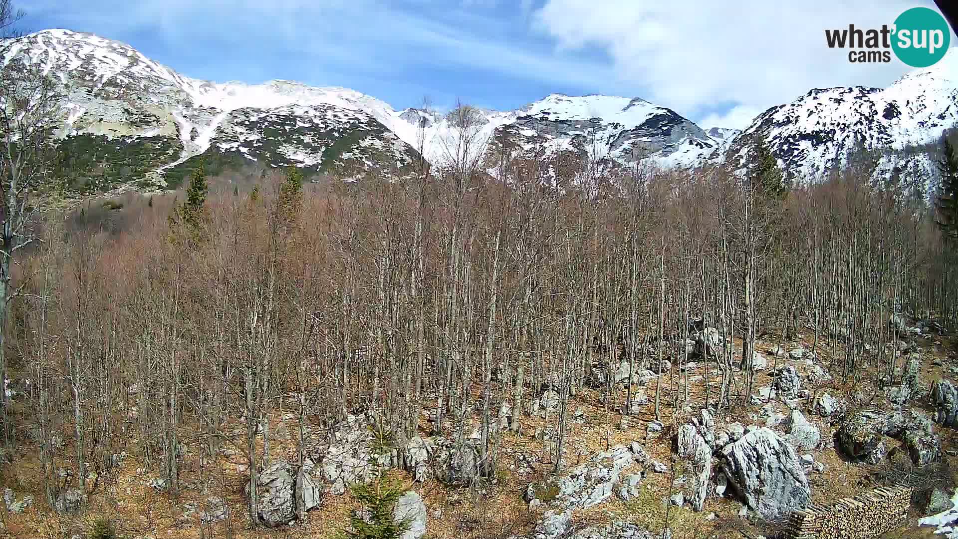 Cámara web PLANINA RAZOR (1315) | vista a Vogel y Globoko