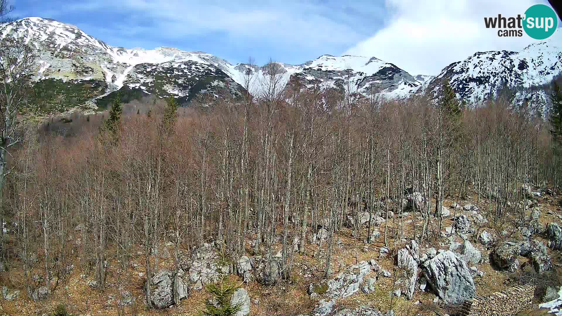 PLANINA RAZOR web kamera (1315) | pogled na Vogel i Globoko