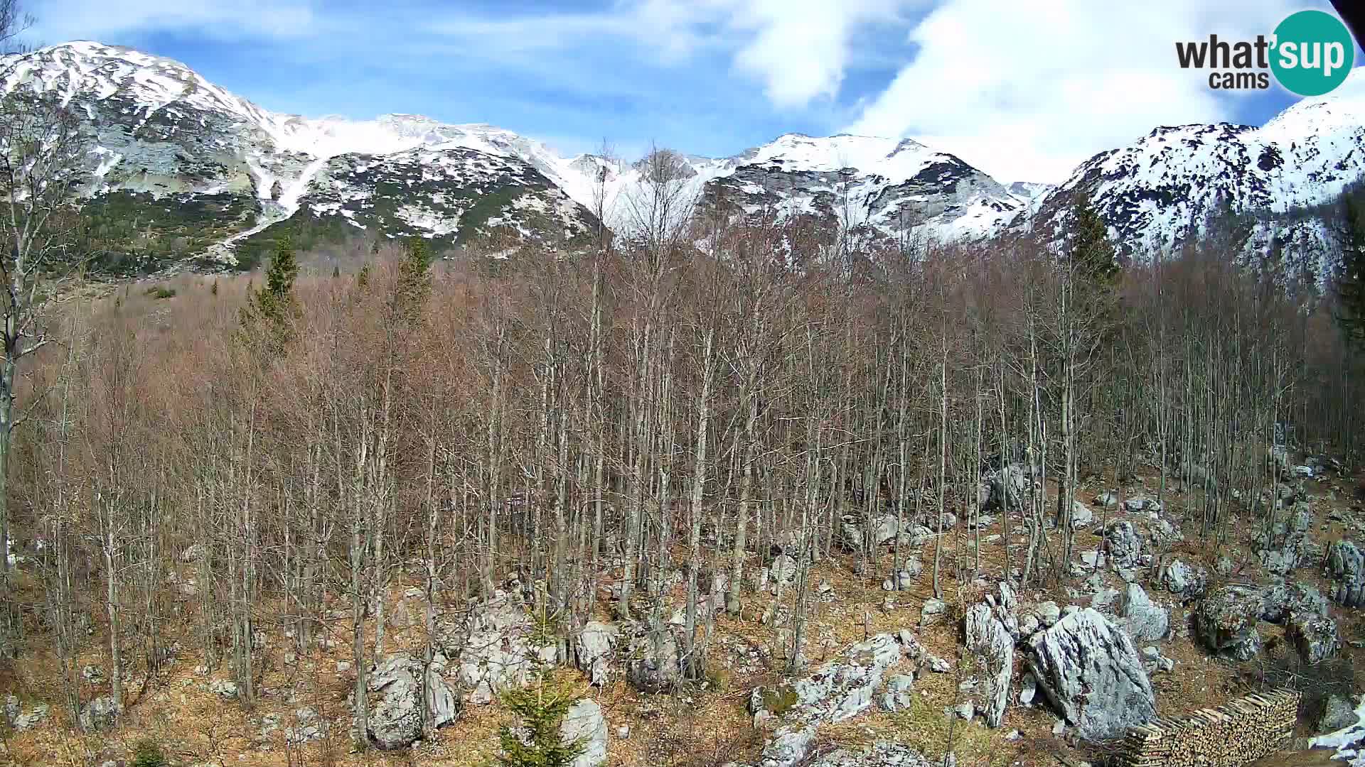 Cámara web PLANINA RAZOR (1315) | vista a Vogel y Globoko