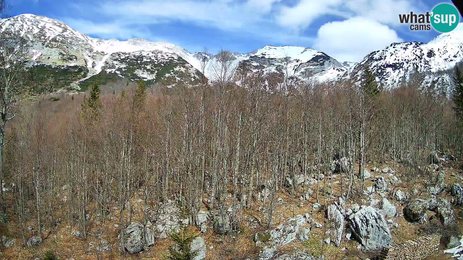 PLANINA RAZOR Live Cam (1315) | vista su Vogel e Globoko