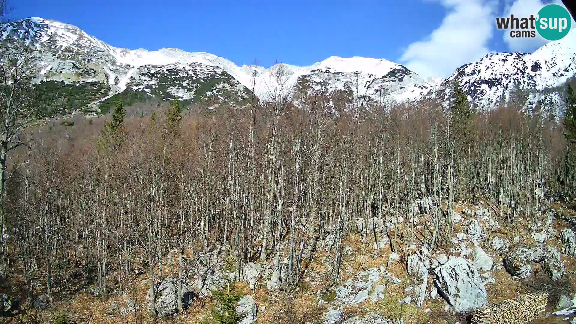 PLANINA RAZOR Live Cam (1315) | vista su Vogel e Globoko