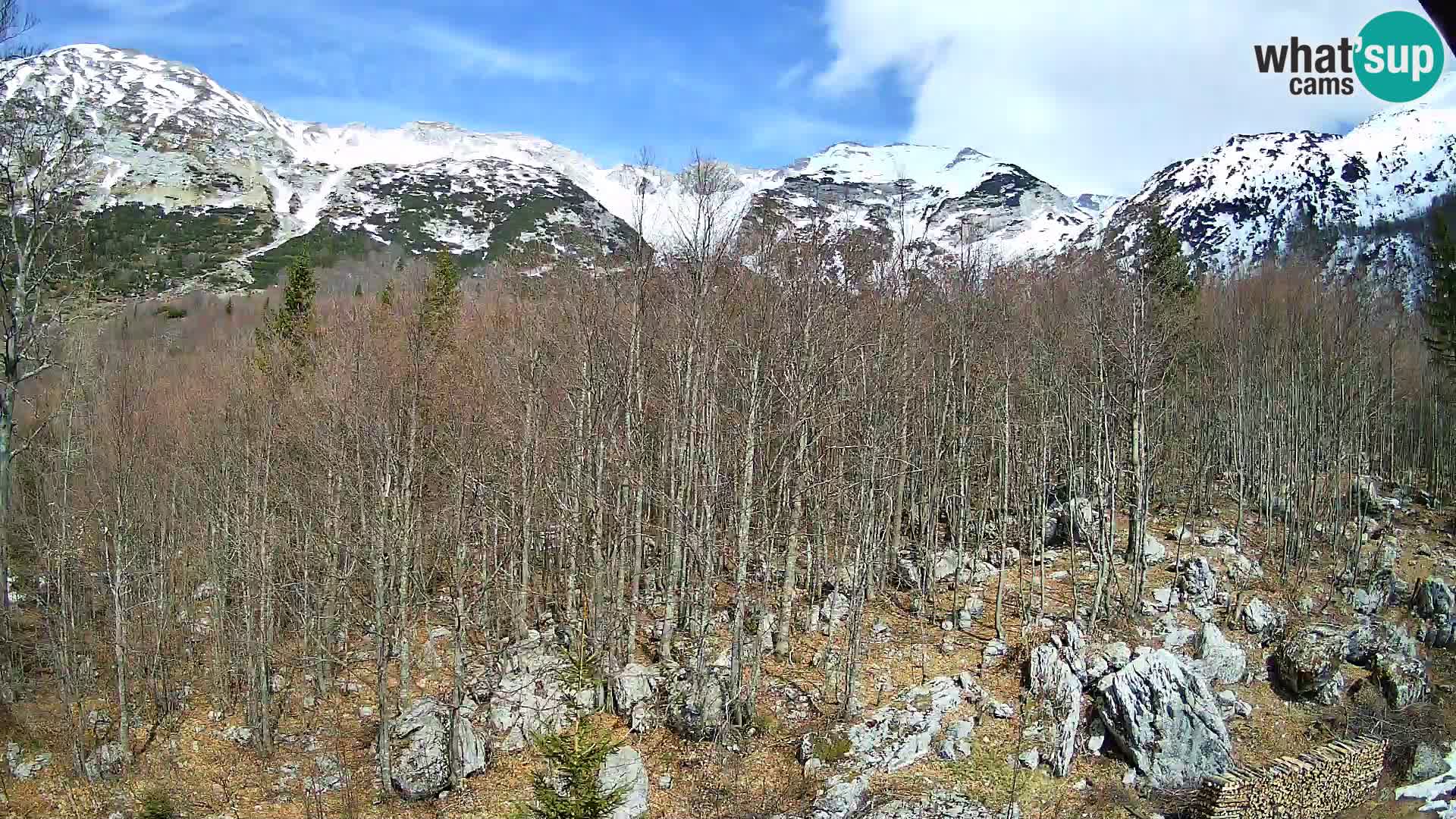 Webcam PLANINA RAZOR (1315) | Blick auf Vogel und Globoko