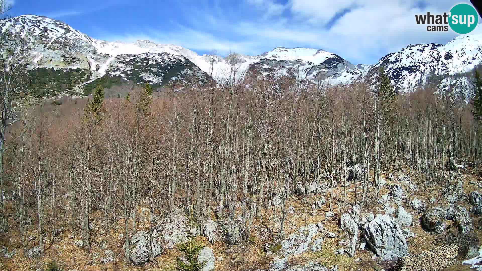 Cámara web PLANINA RAZOR (1315) | vista a Vogel y Globoko
