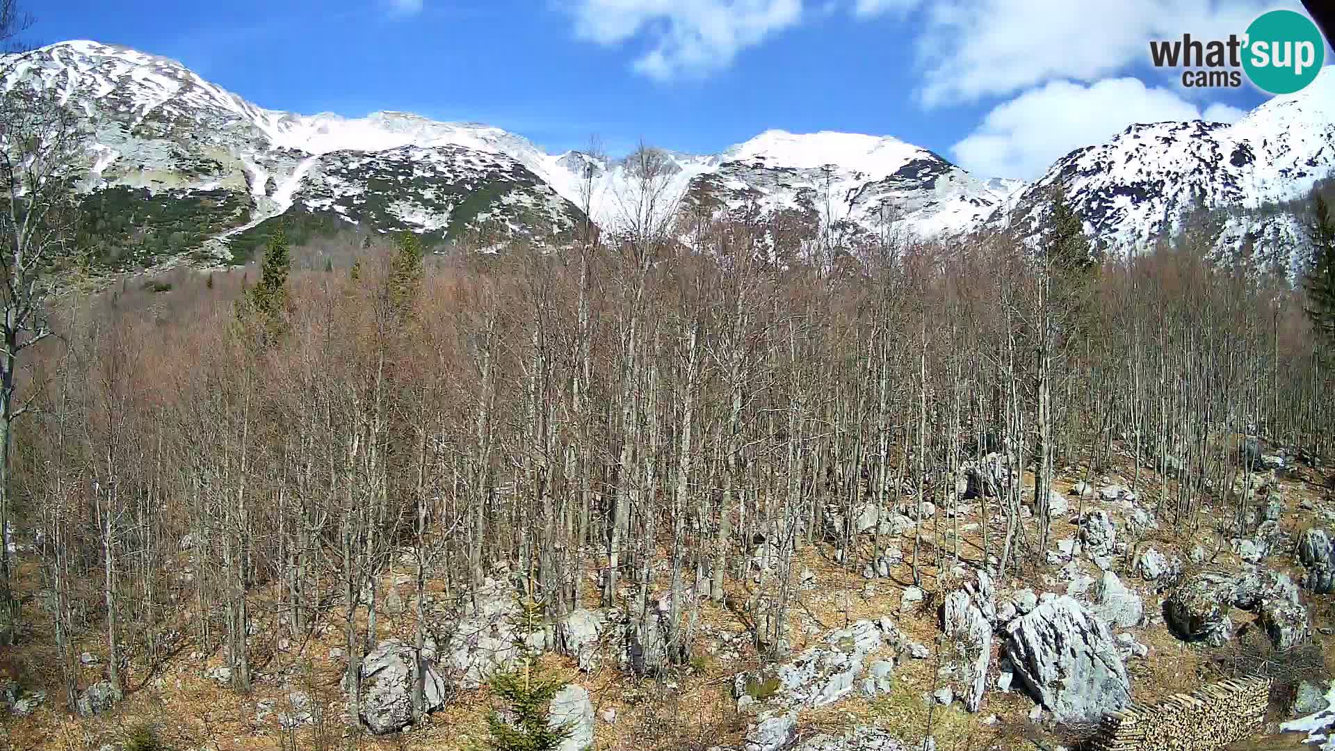 PLANINA RAZOR Live Cam (1315) | vista su Vogel e Globoko