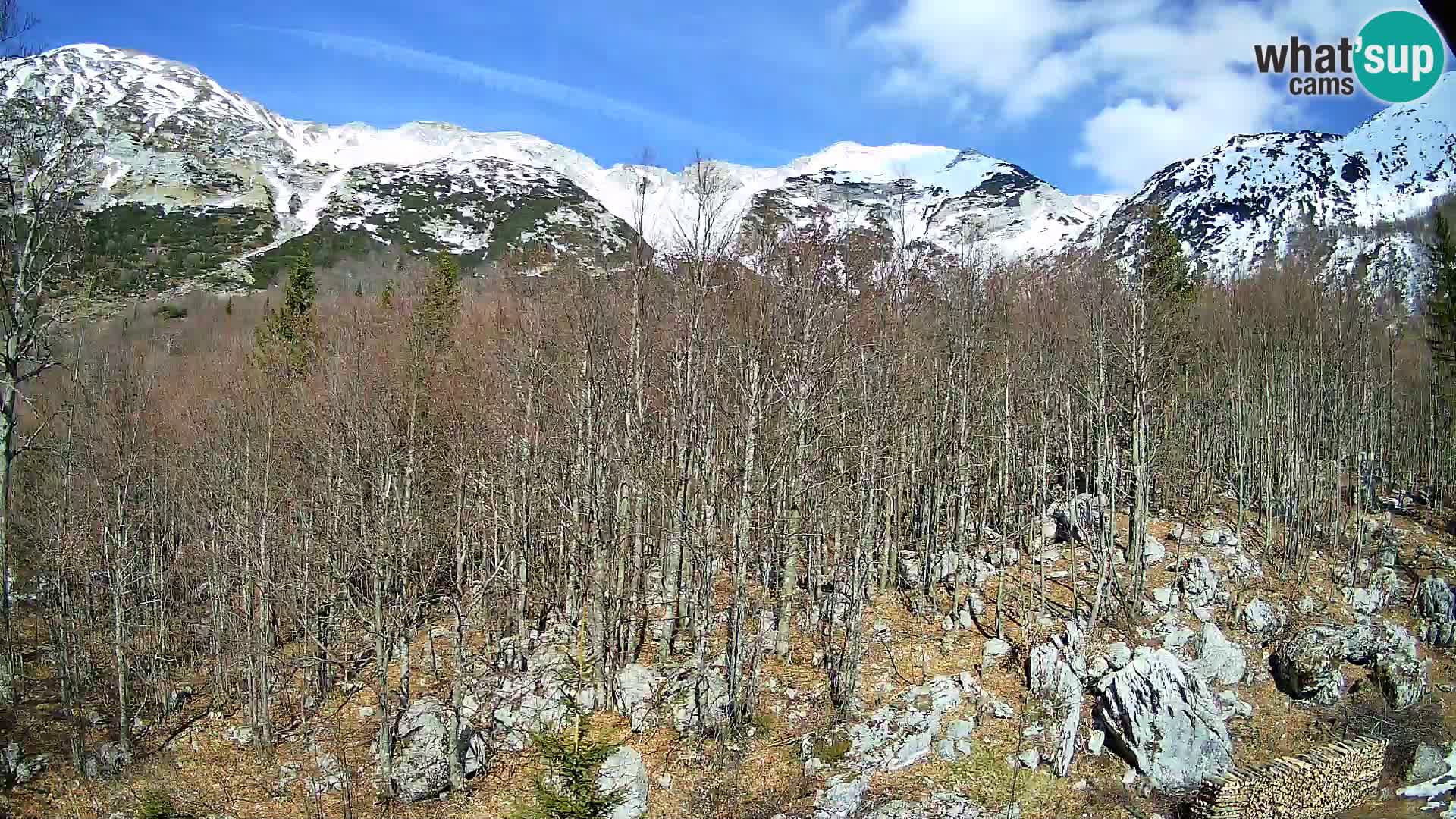 PLANINA RAZOR web kamera (1315) | pogled na Vogel i Globoko