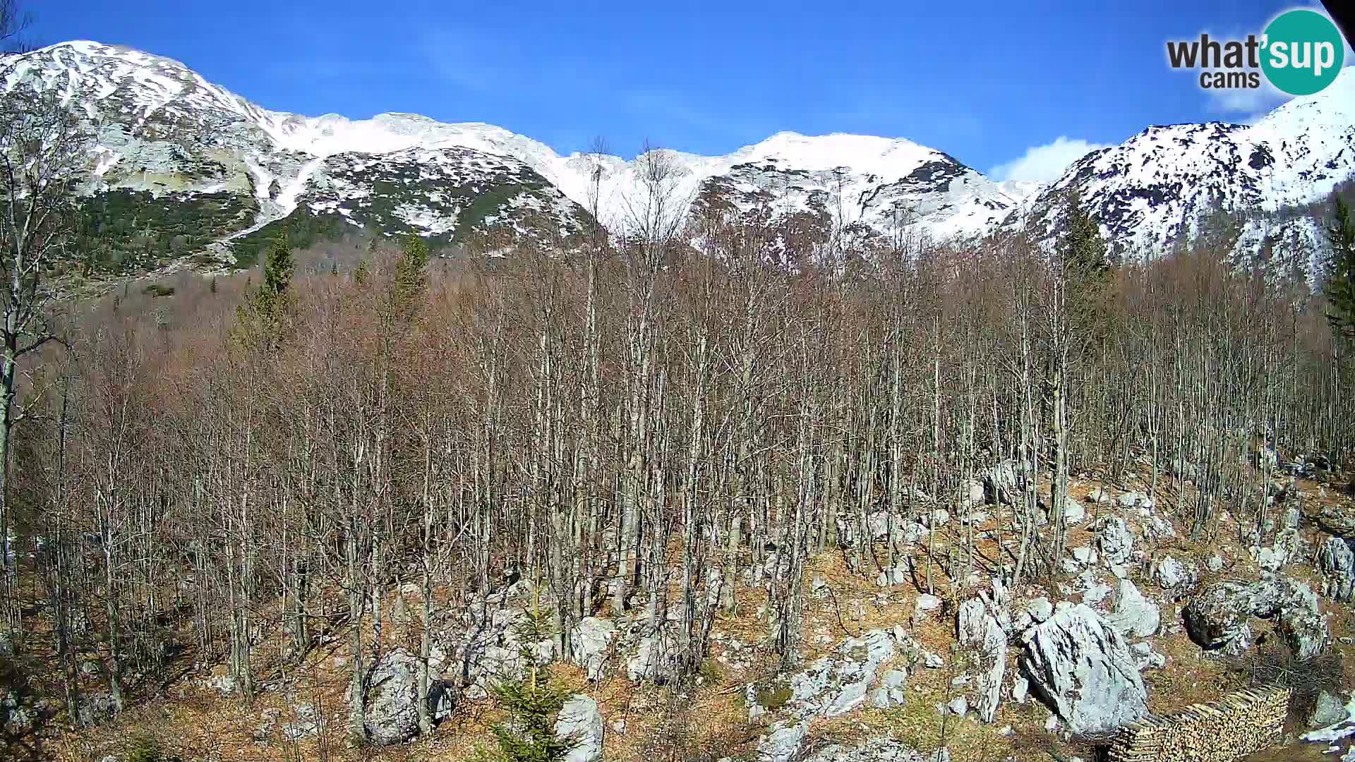 PLANINA RAZOR Live Cam (1315) | vista su Vogel e Globoko